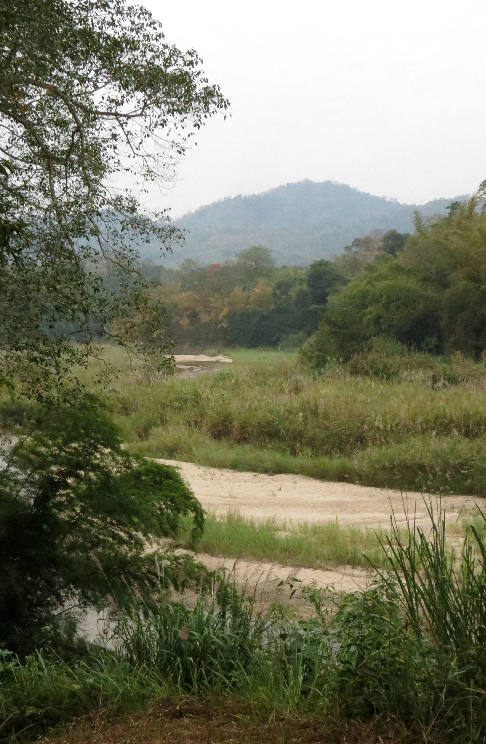 2014 Huai Kha Khaeng Bruce Kekule Trip (37).JPG