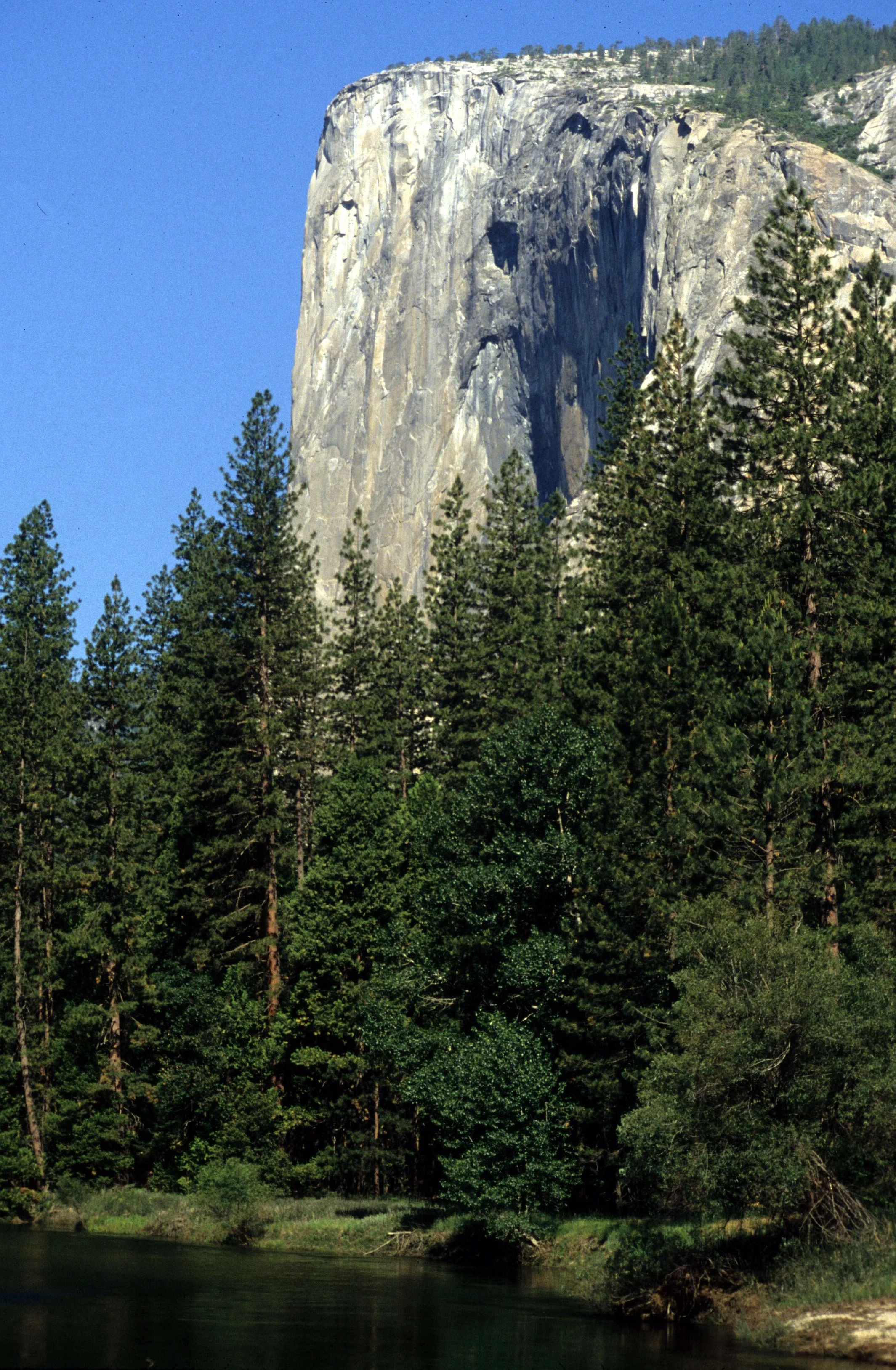 CALIFORNIA - YOSEMITE - EL CAPITAN C (3).jpg