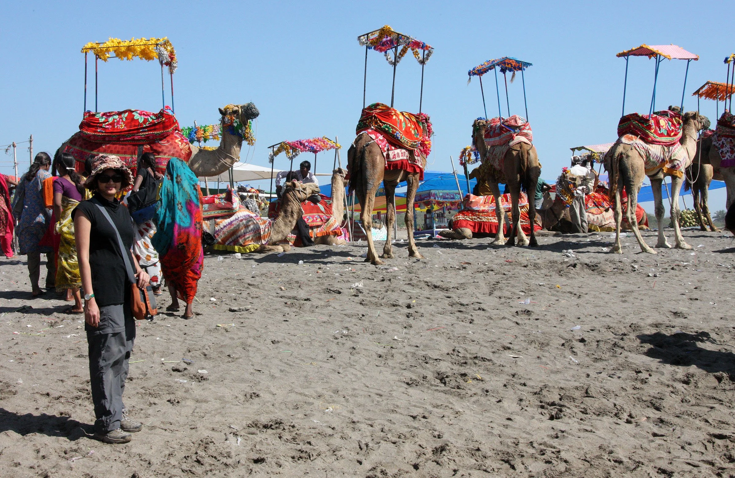 GUJARAT - SOMNATH TEMPLE AND TOWN - INDIA (37).JPG