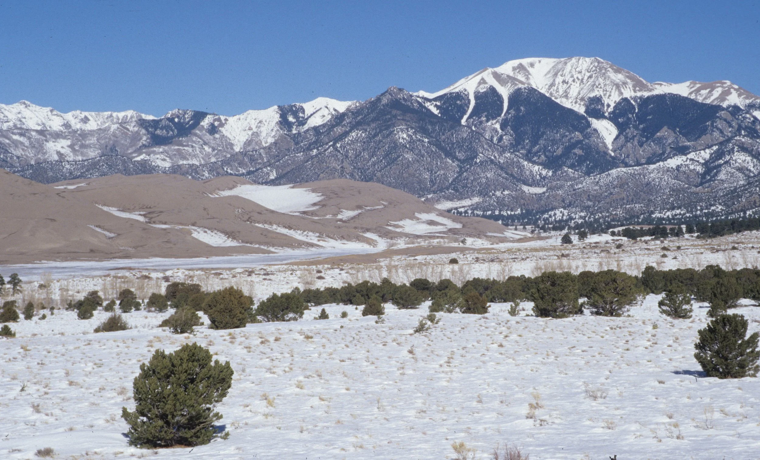 COLORADO DUNES NM C.jpg
