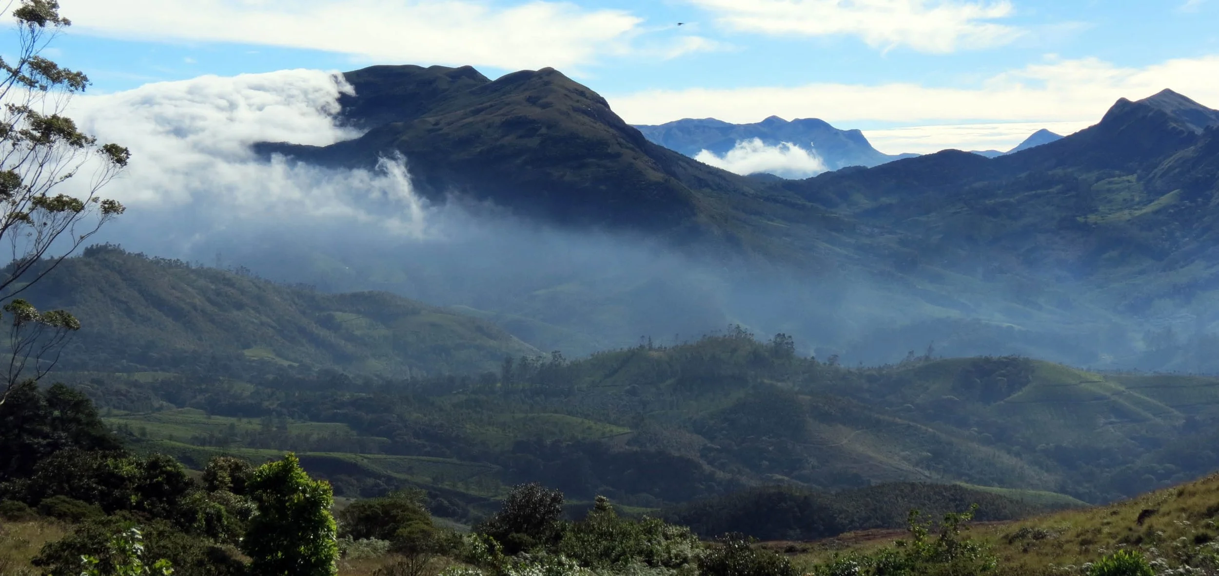 ERAVIKULUM NATIONAL PARK INDIA (8).JPG