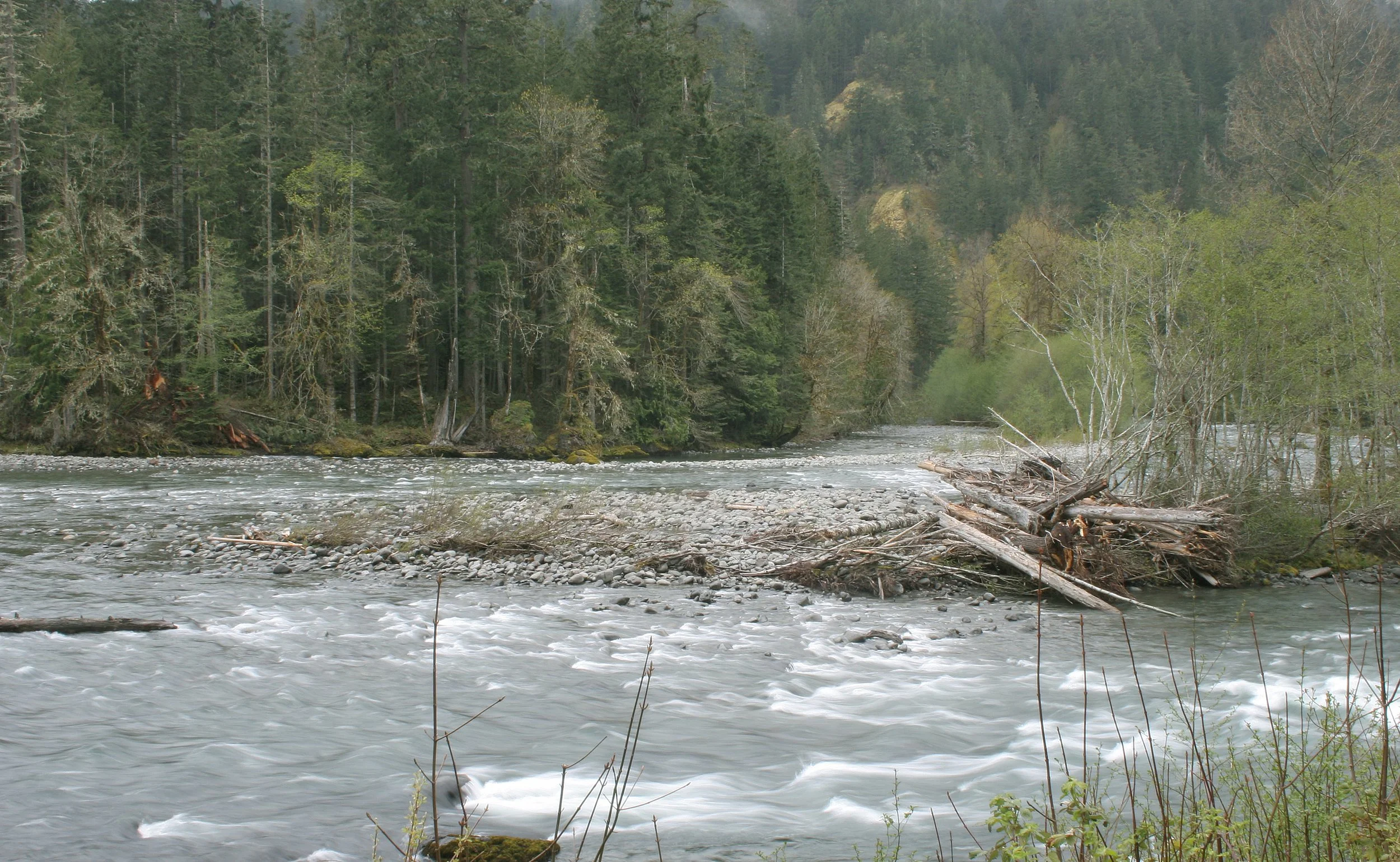 ELWHA RIVER VALLEY (4).JPG