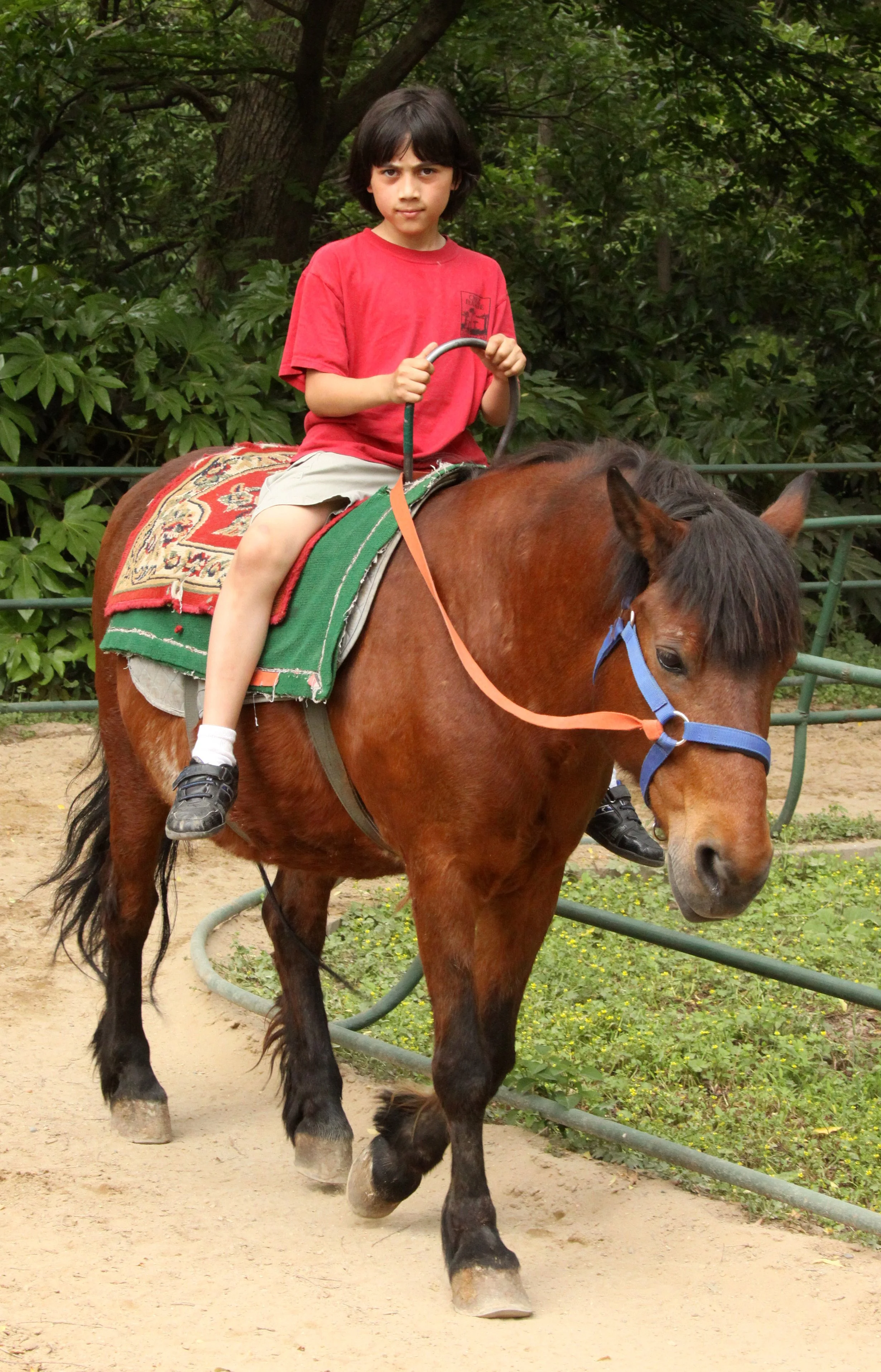 2011-5-6 SHANGHAI ZOO (5).JPG