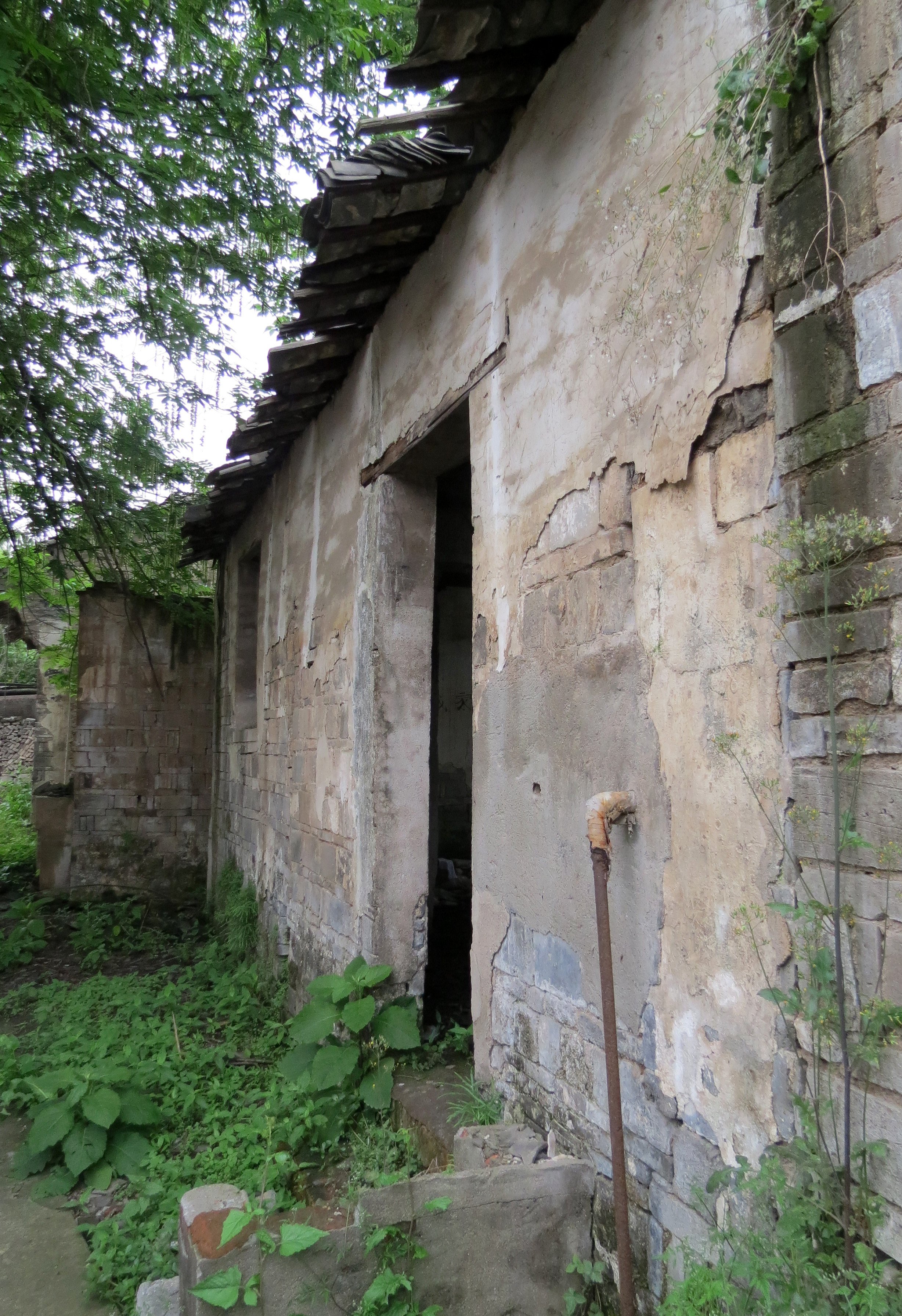 TONGLING RIVER DOLPHIN NATIONAL NATURE RESERVE - YUZHOU ISLAND - YUZHOU ISLAND (18).JPG