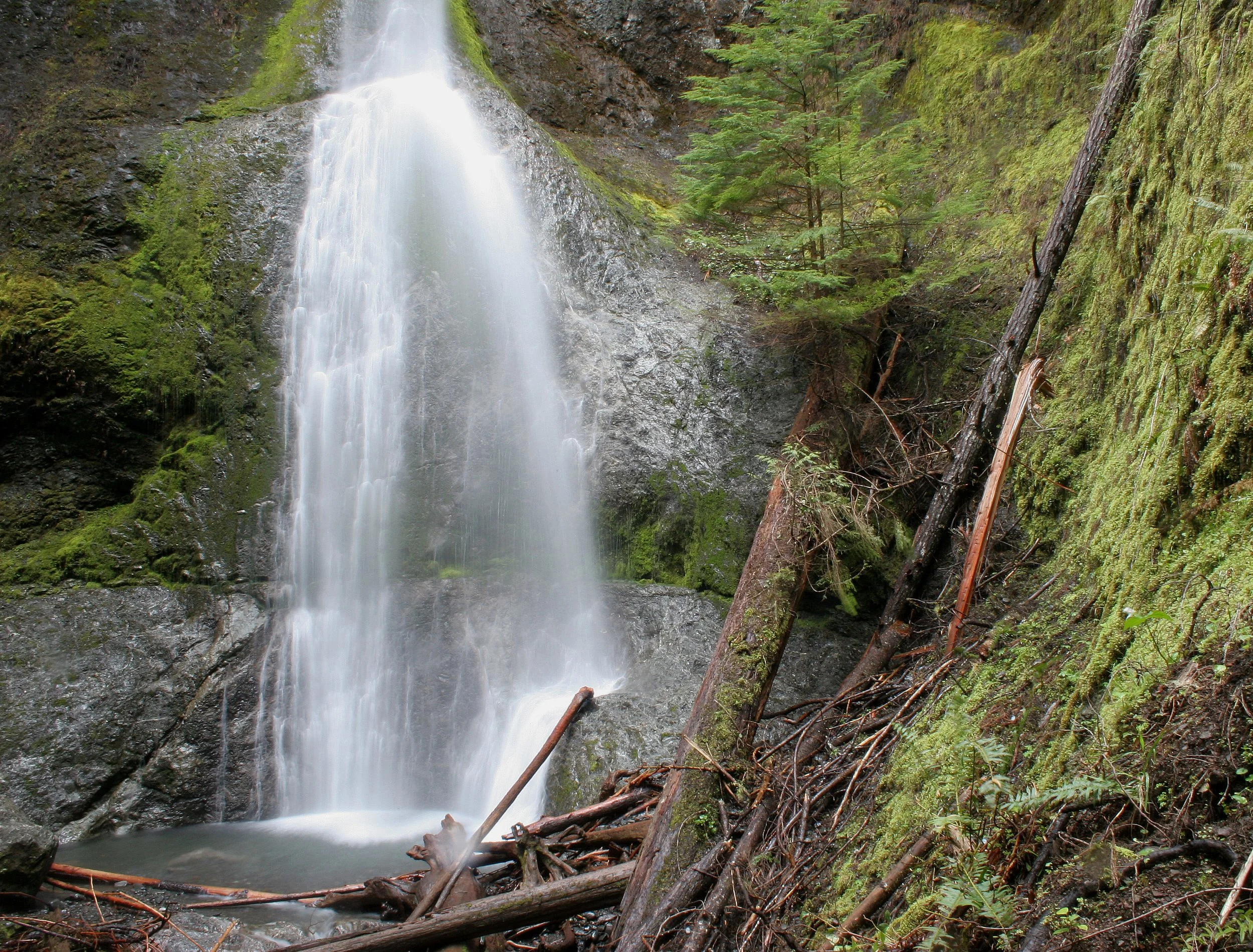 MARYMERE FALLS (5).JPG