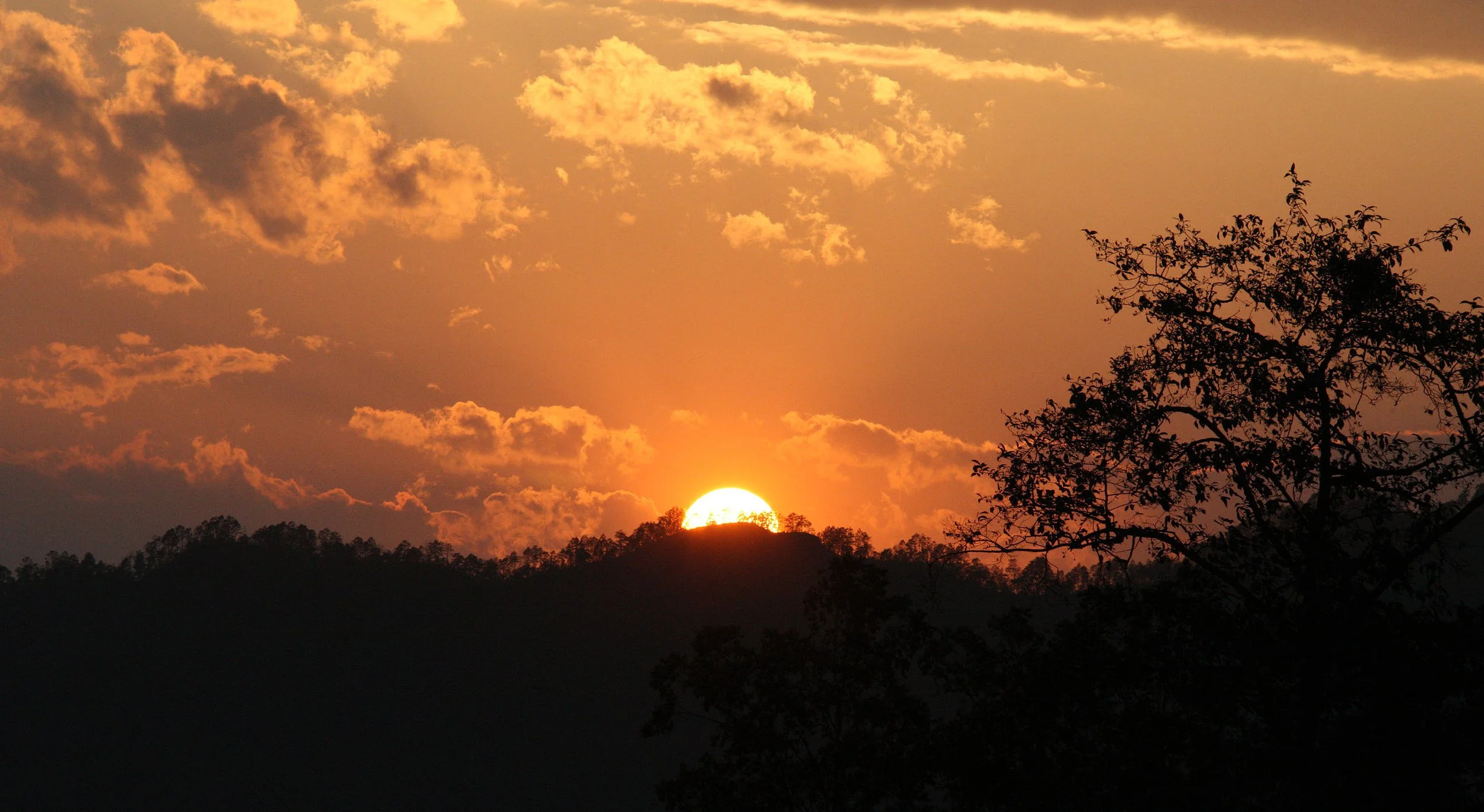 YUNNAN - WULIANGSHAN NATURE RESERVE AND SURROUNDING REGION (55).JPG