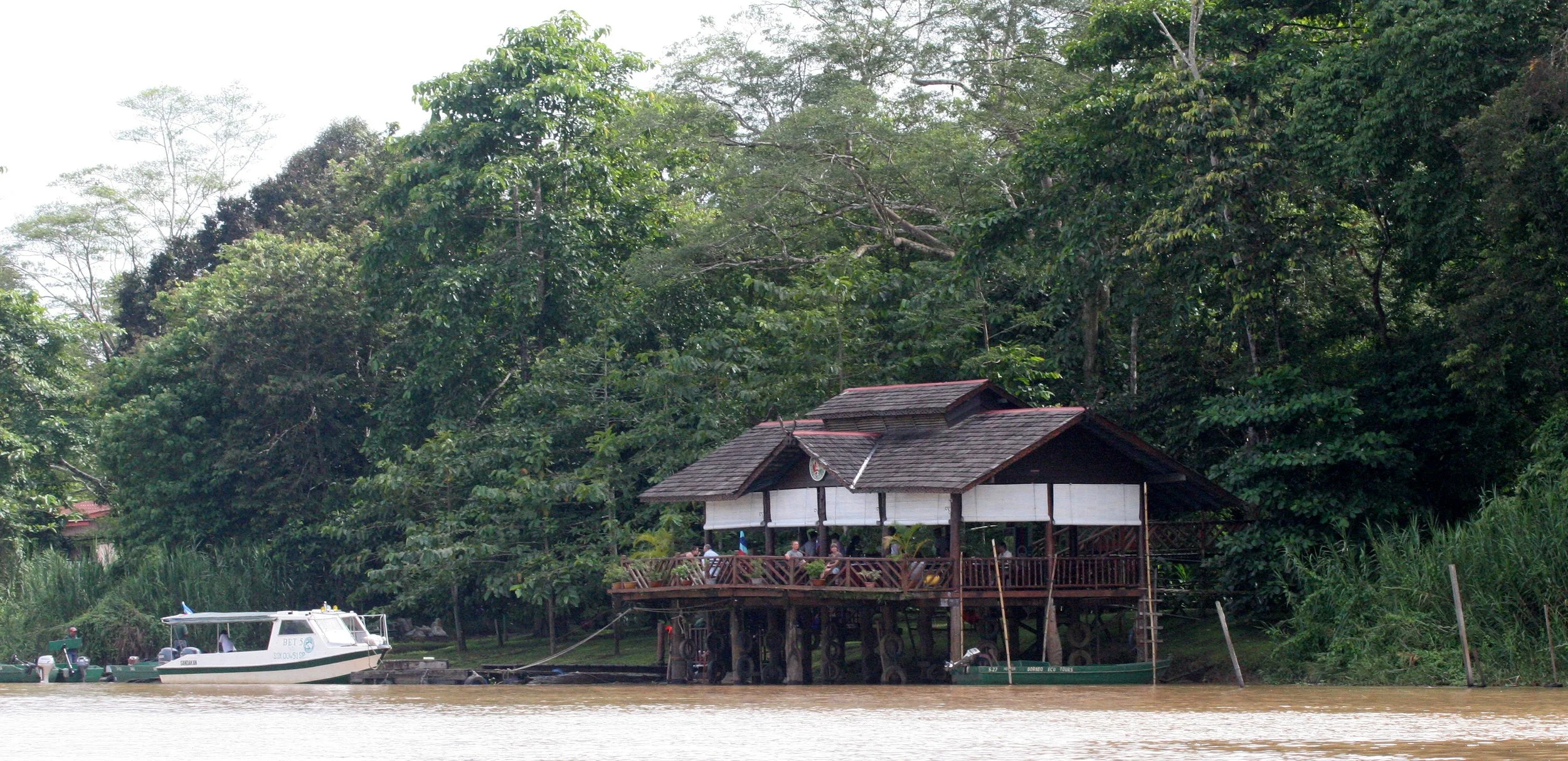 KINABATANGAN RIVER BORNEO - SUKAU RAINFOREST LODGE (2).JPG