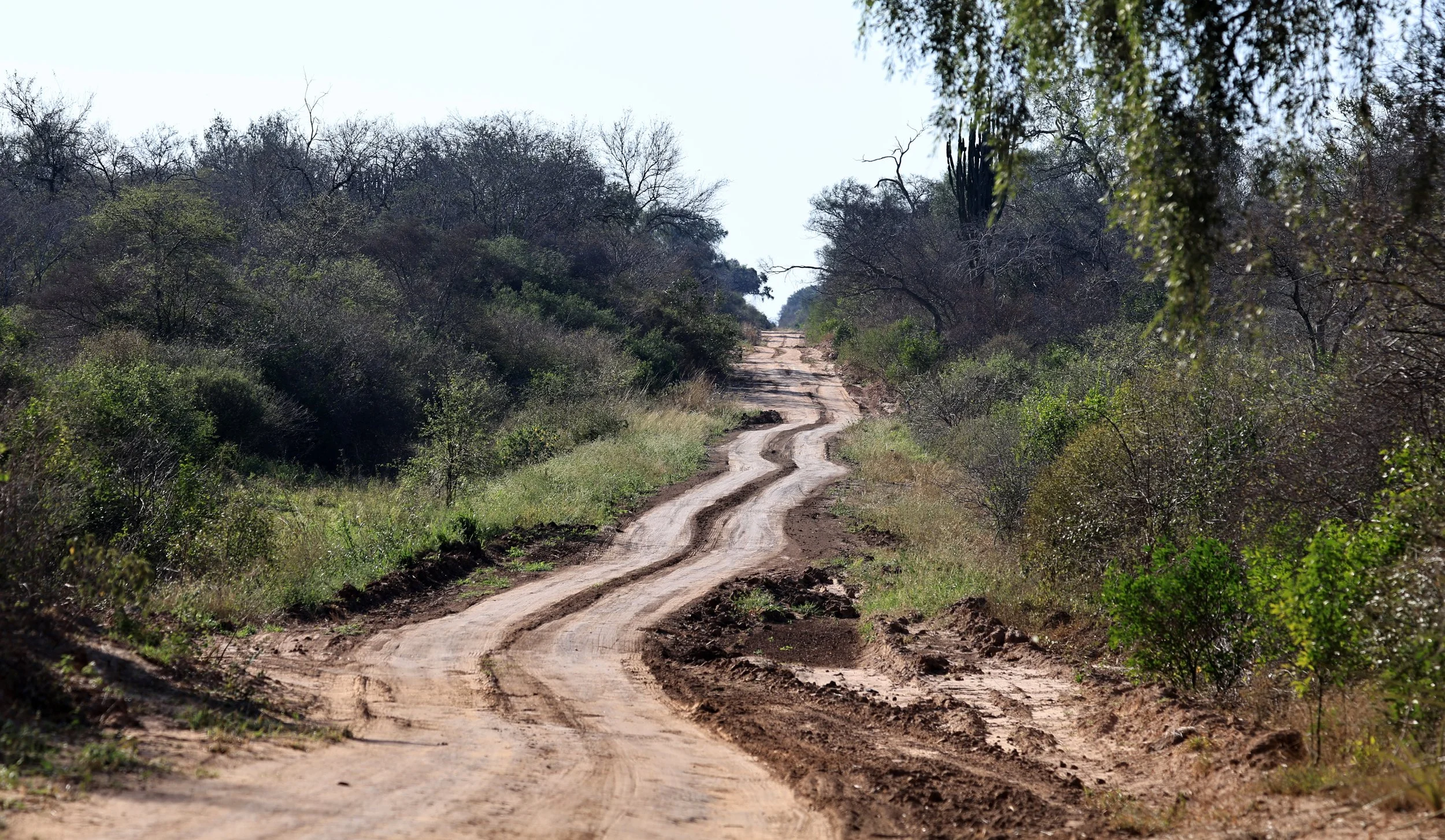 Agua Dulce Paraguay (62).jpg