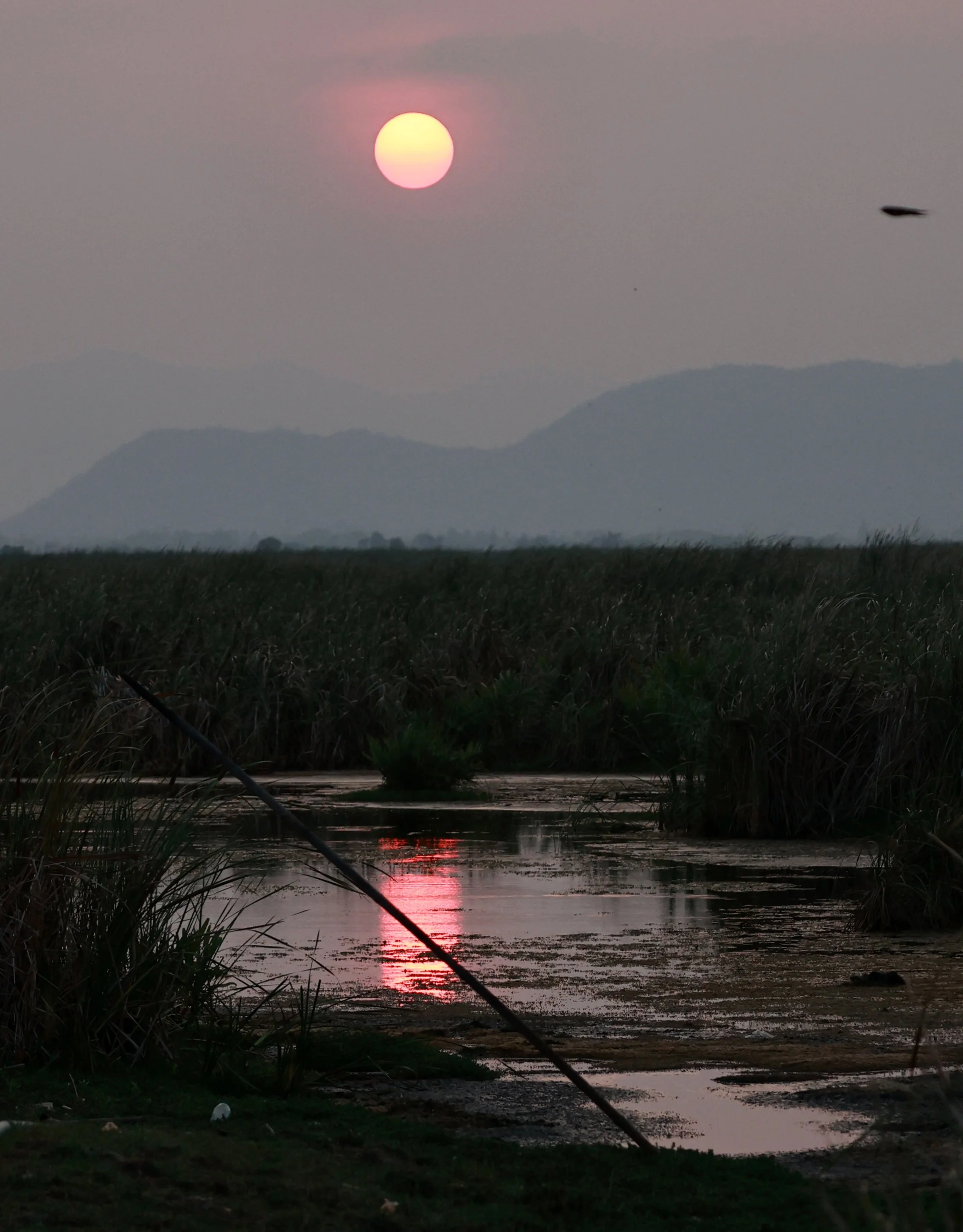 Smoky haze over the Khao Sam Roi Yod wetlands.