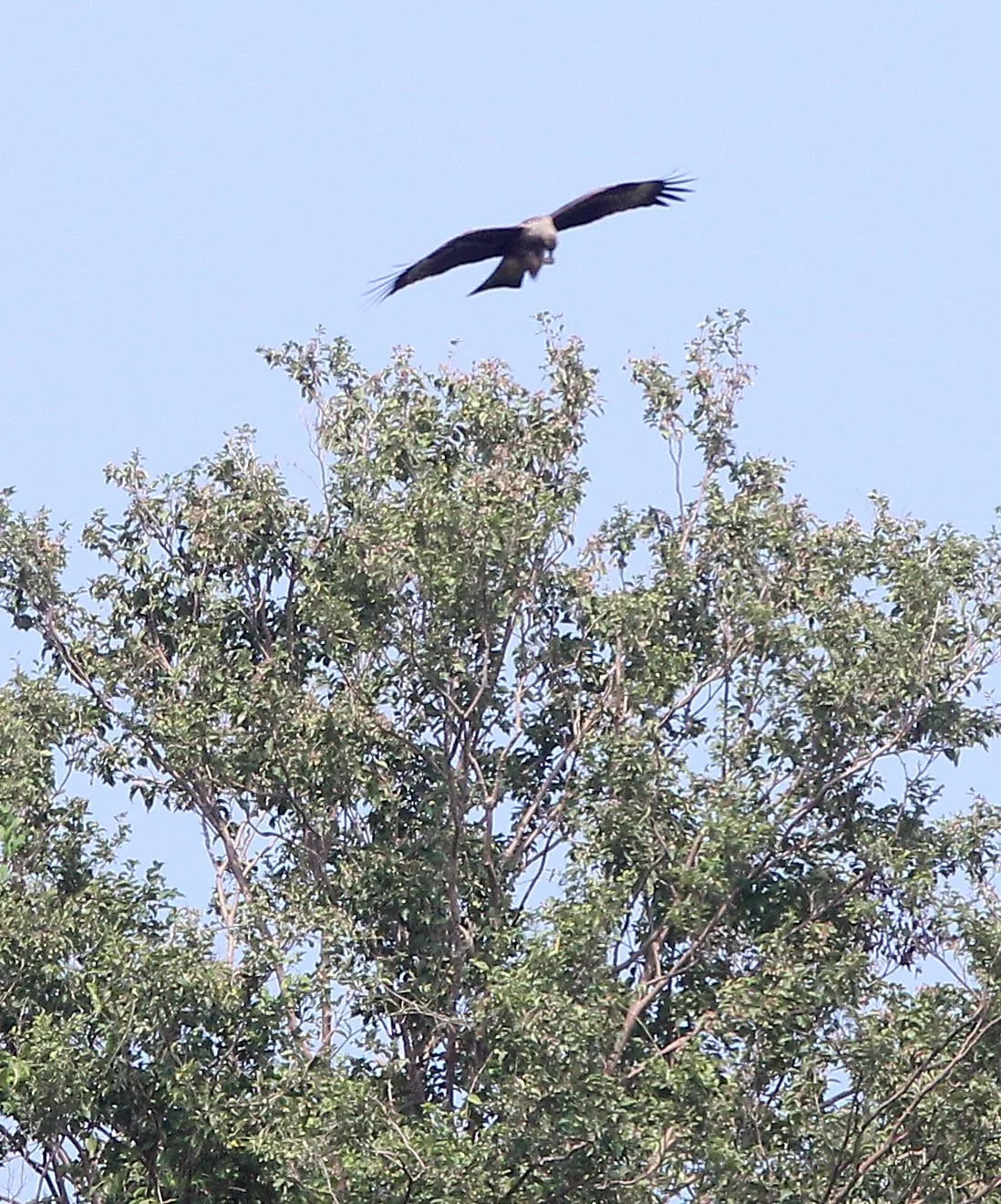 2015 Koh Lanta October Break Trip  (315).JPG