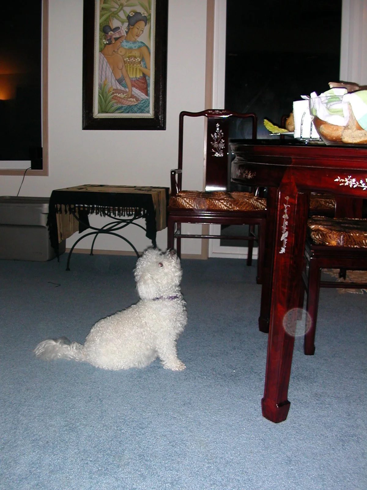 2003-11-28 THANKSGIVING IN LAKE FARM (11).JPG