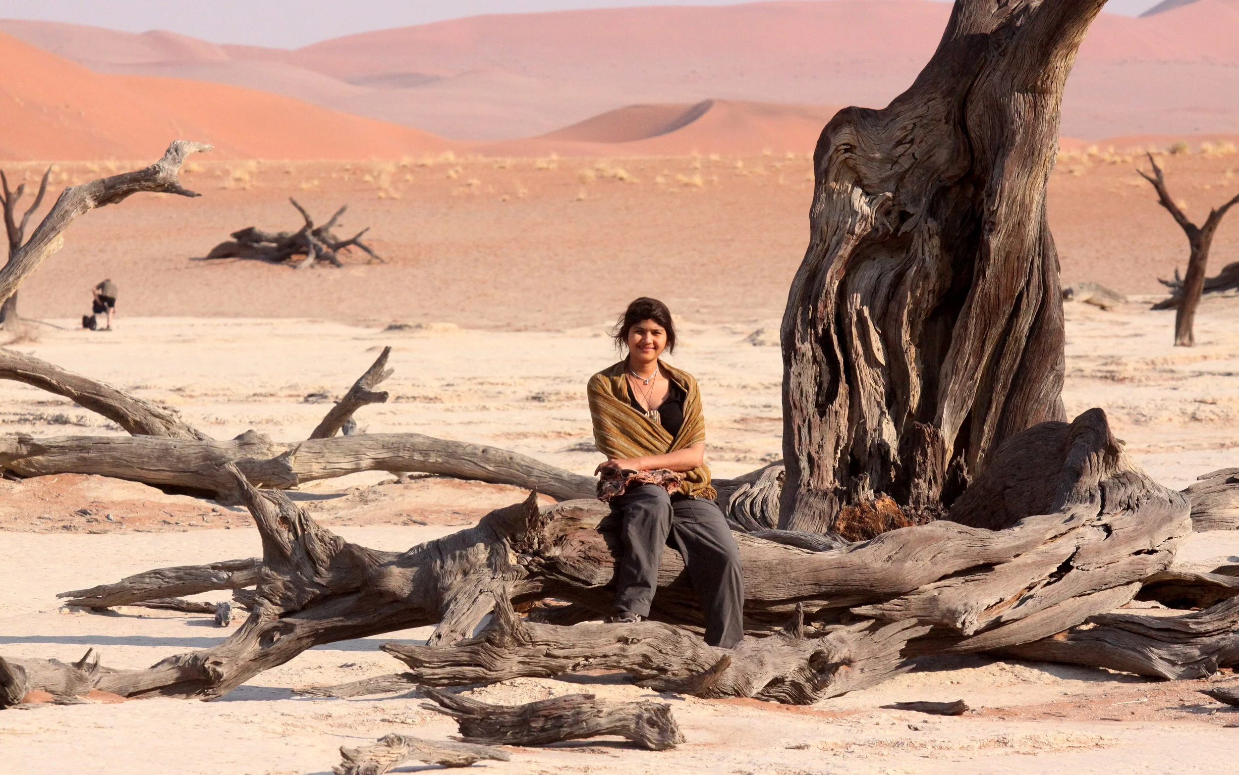 SOSSUSVLEI, NAMIB NAUKLUFT NATIONAL PARK, NAMIBIA - DEAD VLEI (32).JPG