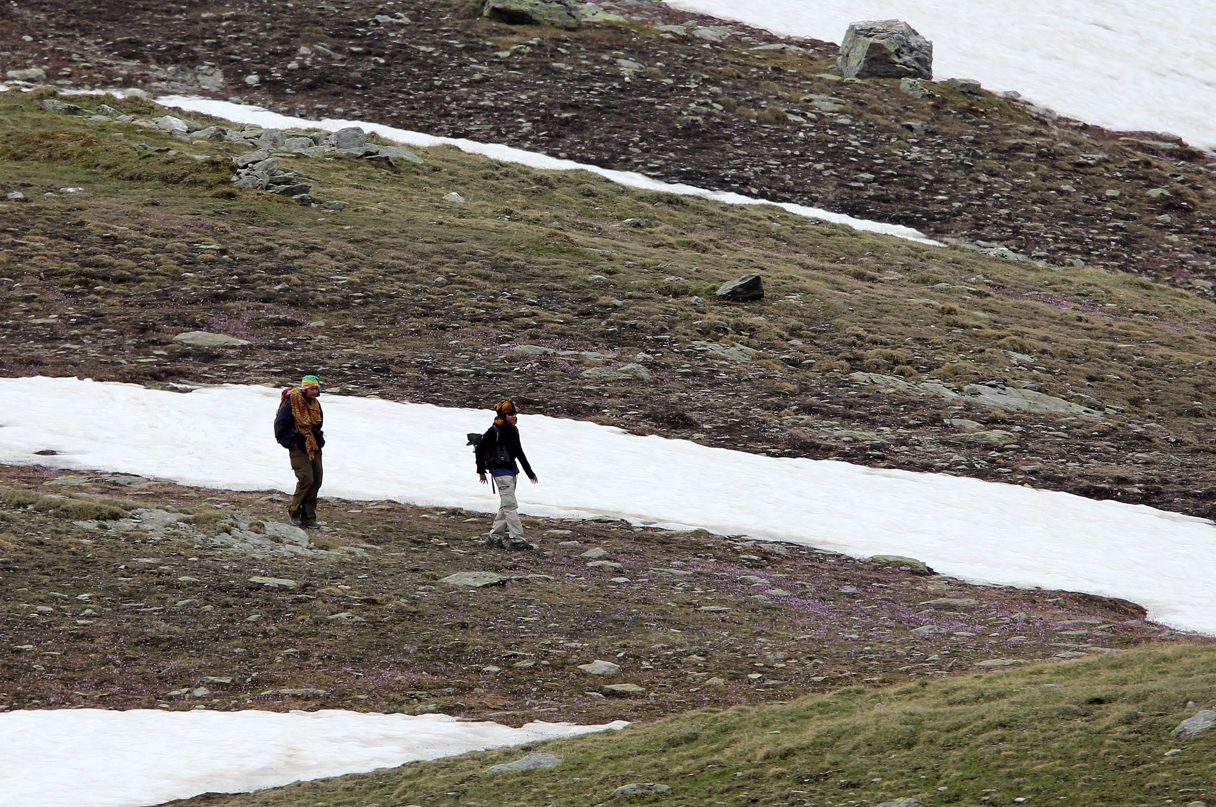 STELVIO NATIONAL PARK ITALY (98).JPG