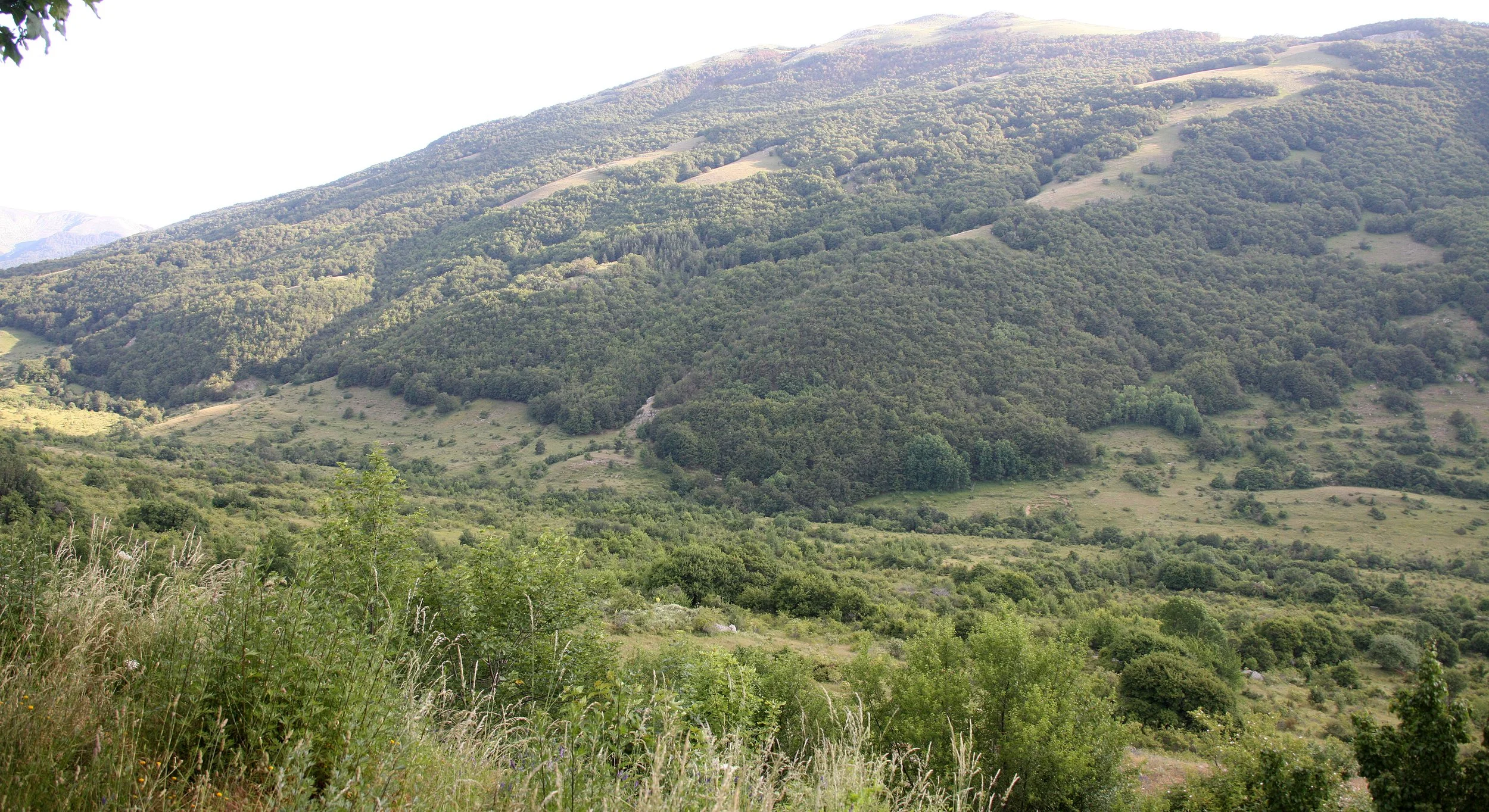 ABRUZZO NATIONAL PARK ITALY (155).JPG