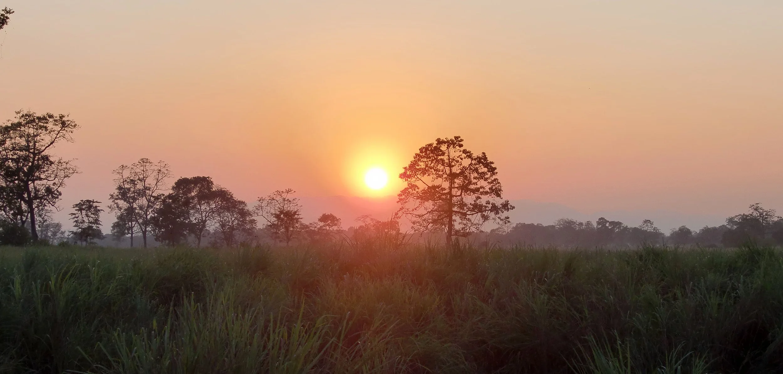 ASSAM - KAZIRANGA NATIONAL PARK INDIA (31).JPG