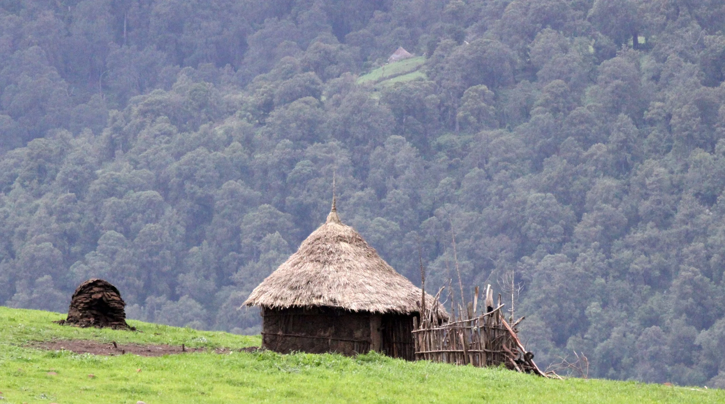 BALE MOUNTAINS NATIONAL PARK ETHIOPIA (13).JPG