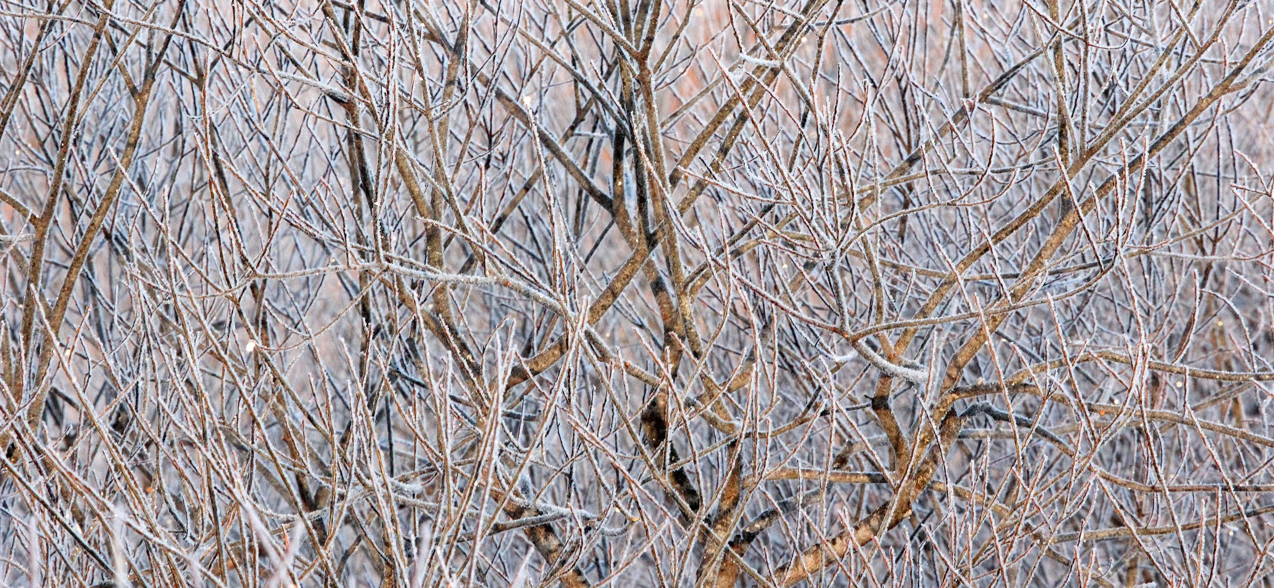 OTOWABASHI SETSUGAWA - TSURUI TOWN - HOKKAIDO JAPAN (36).JPG