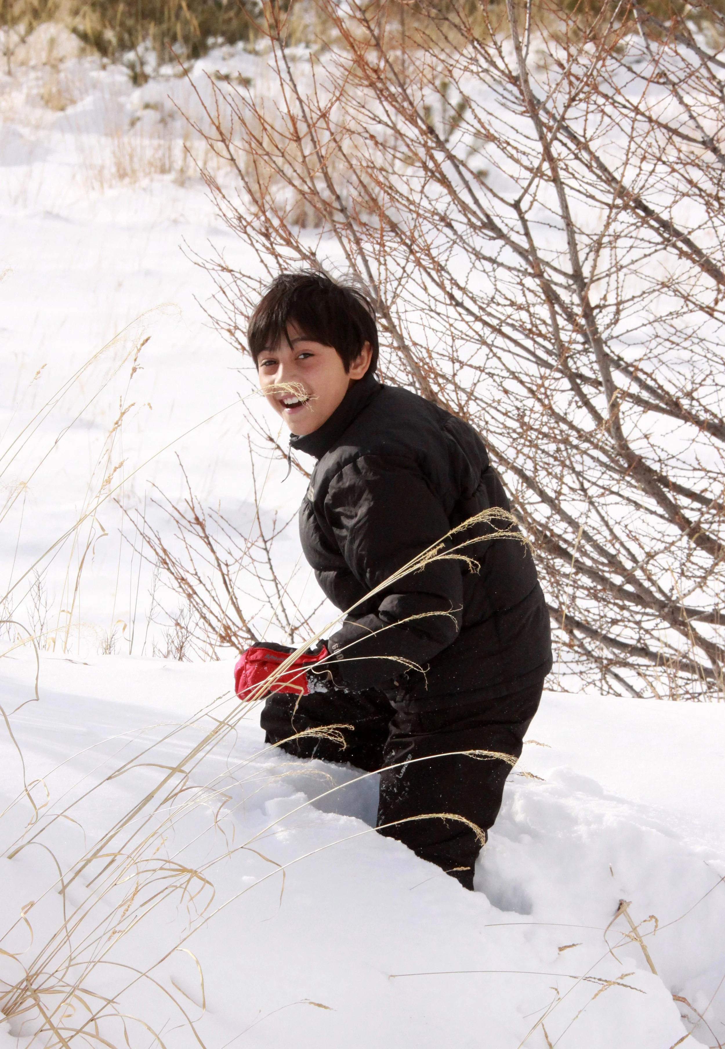 MOUNT ASAMA - JOSHIN'ETSUKOGEN NATIONAL PARK JAPAN (11).JPG