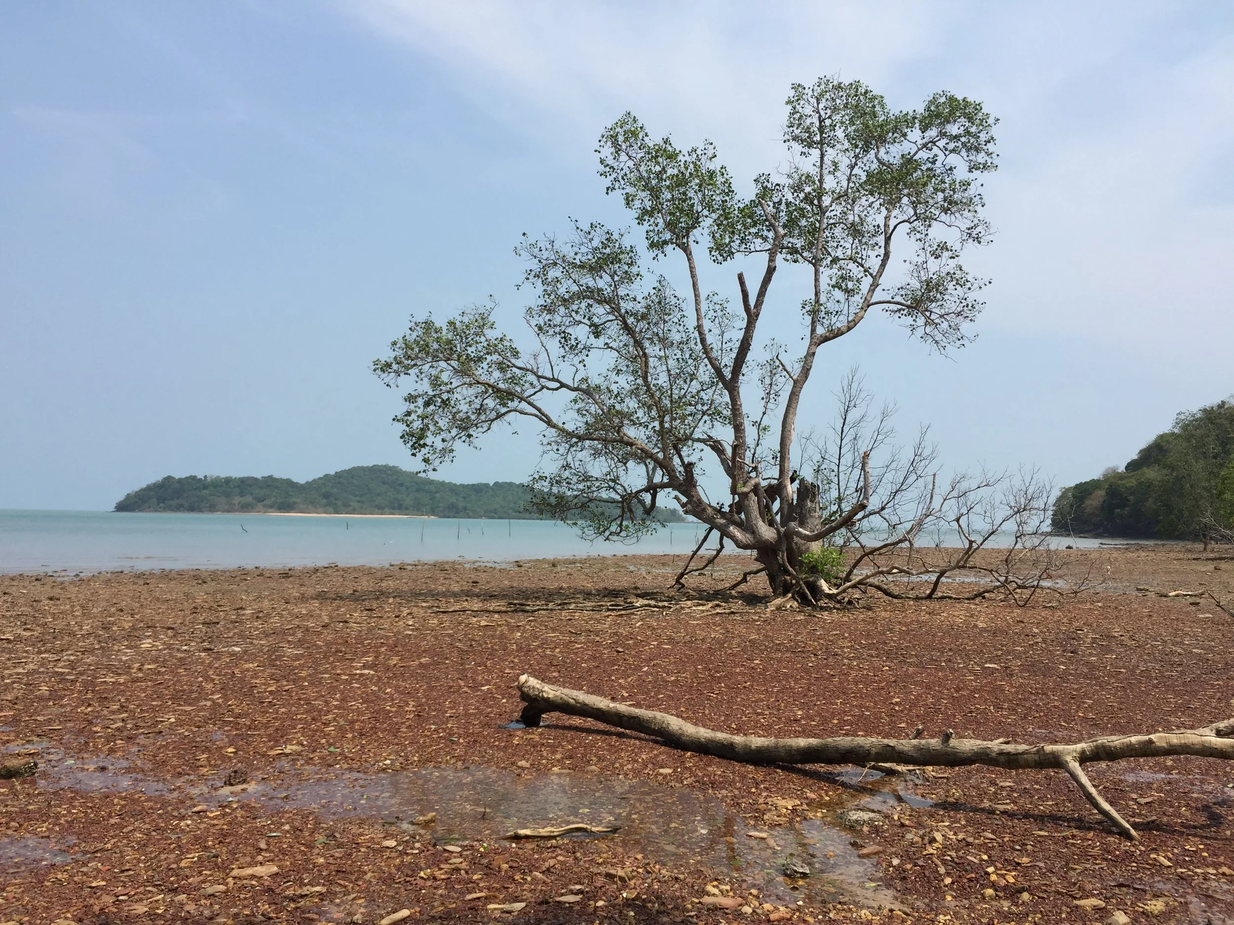 2015 Lanta Project and Scenes (52).JPG