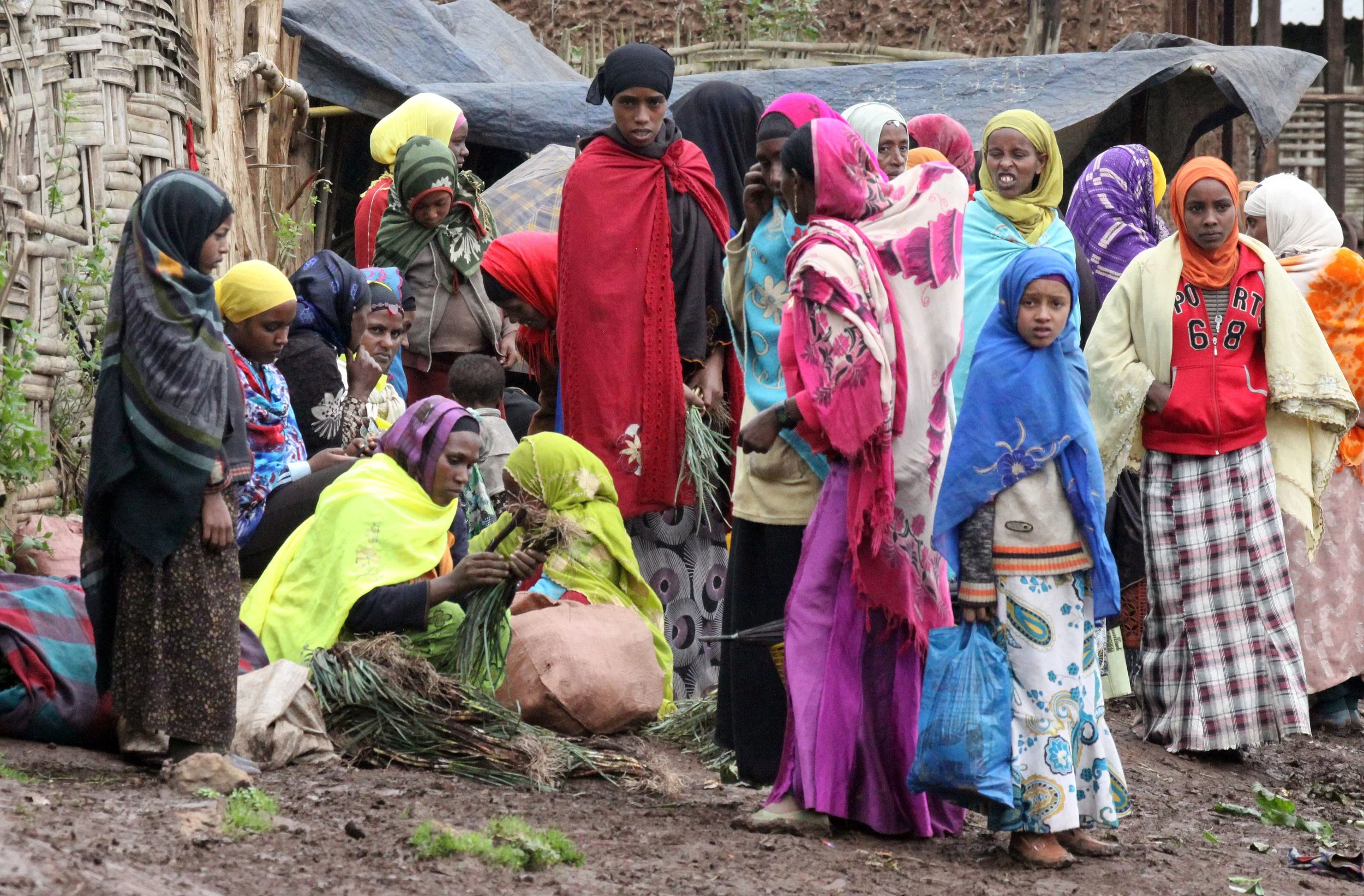 BALE MOUNTAINS NATIONAL PARK ETHIOPIA - HARRENA FOREST (16).JPG