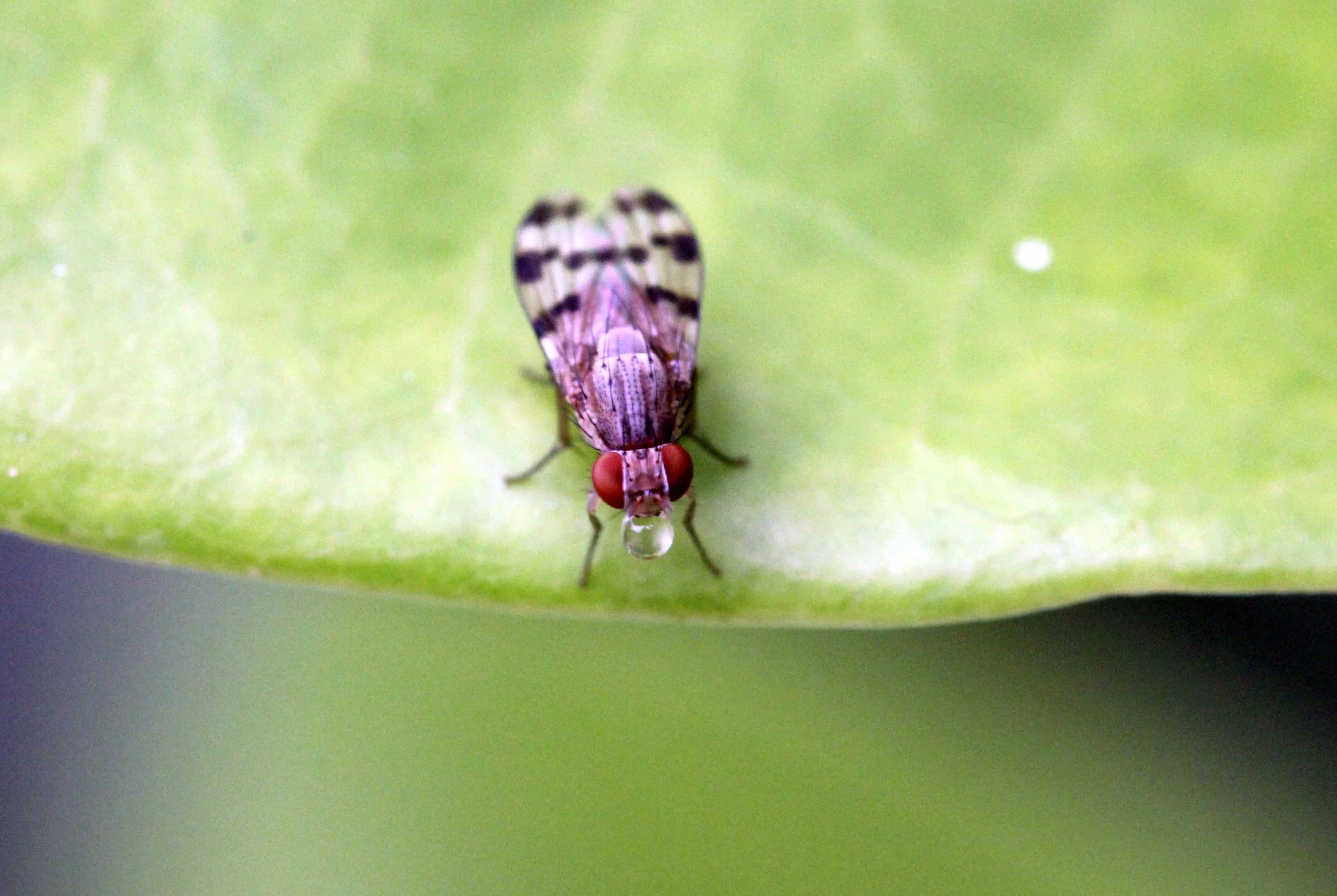 NAKHON & KRABI-LANTA - OCTOBER BREAK 2013 (68).JPG