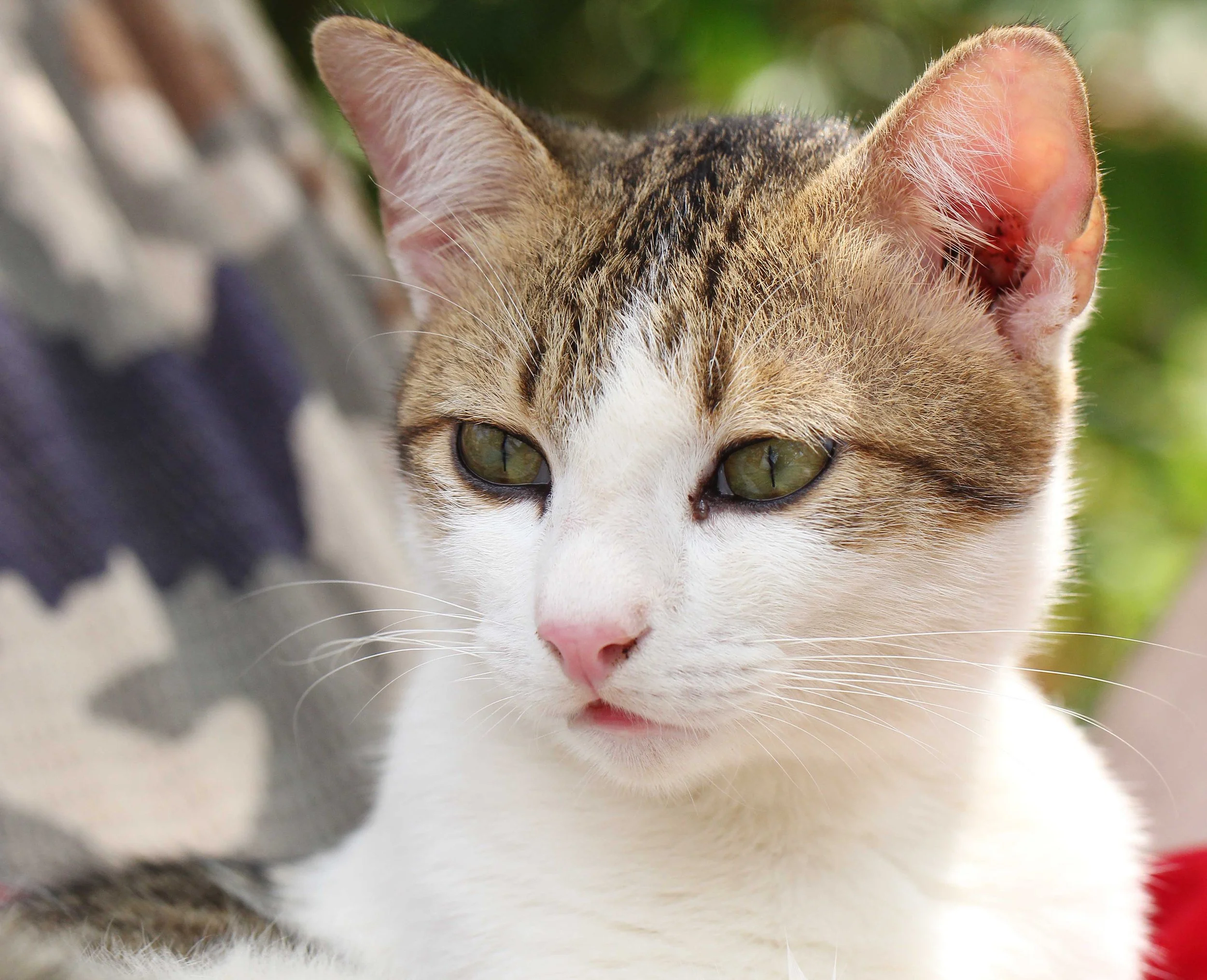 2015 Koh Lanta Songkran with friends from ISB (733).JPG