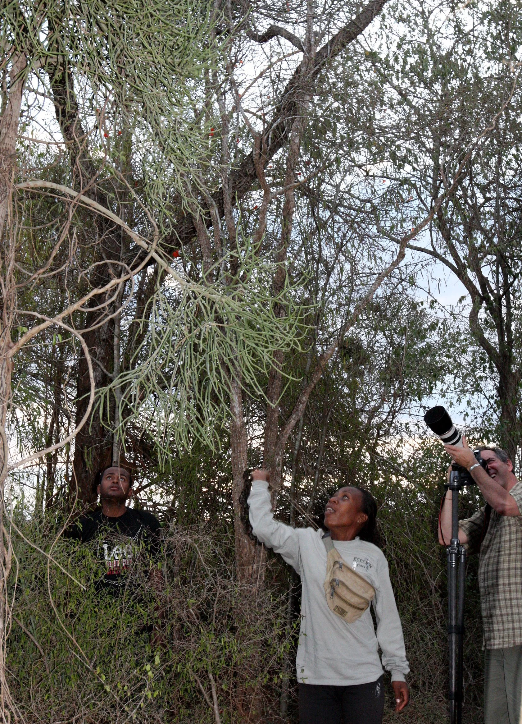 BERENTY RESERVE MADAGASCAR - PHOTOGRAPHING IN THE SPINY FOREST (4).JPG