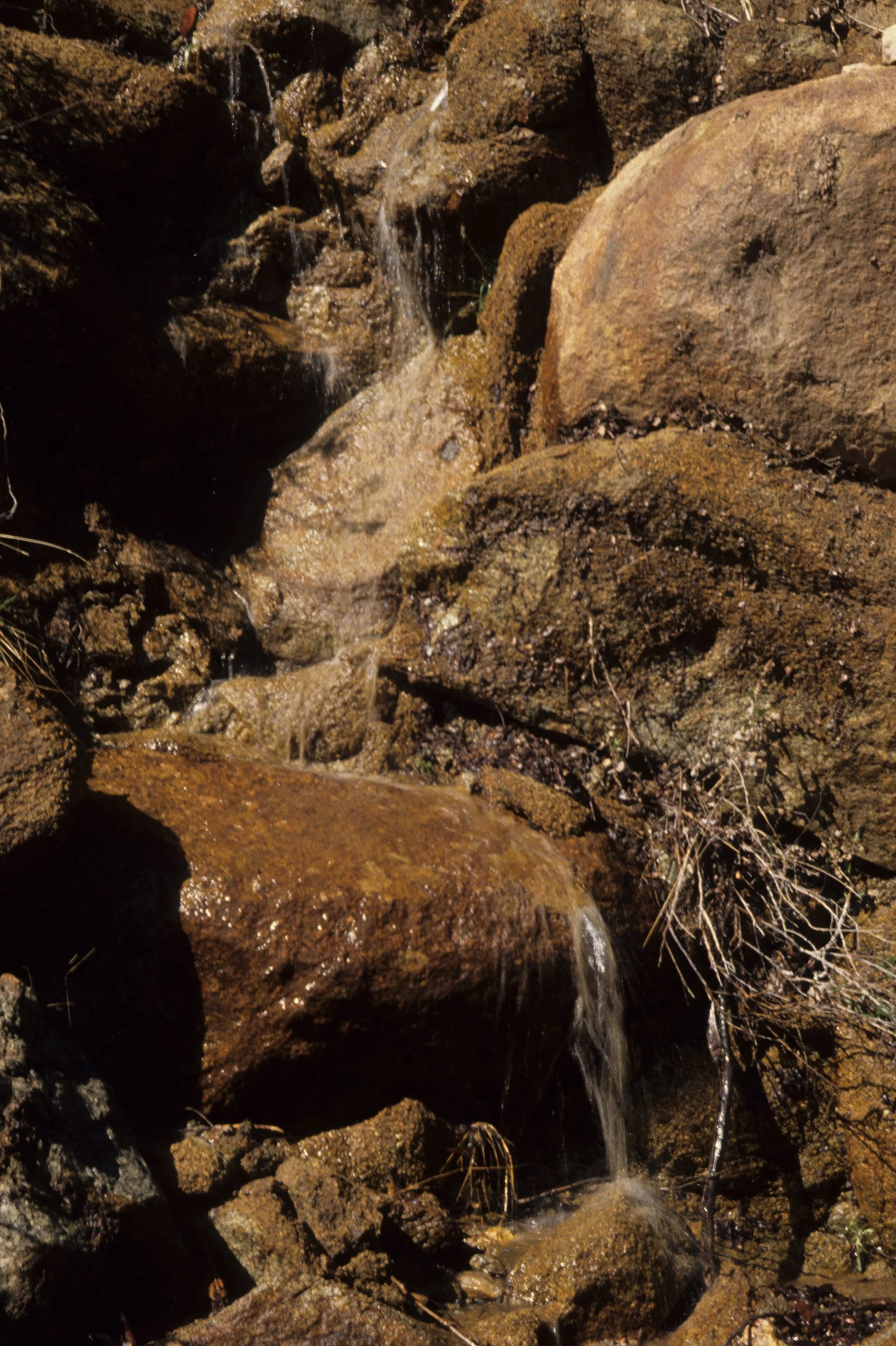 GREAT BASIN NP - STREAM.jpg