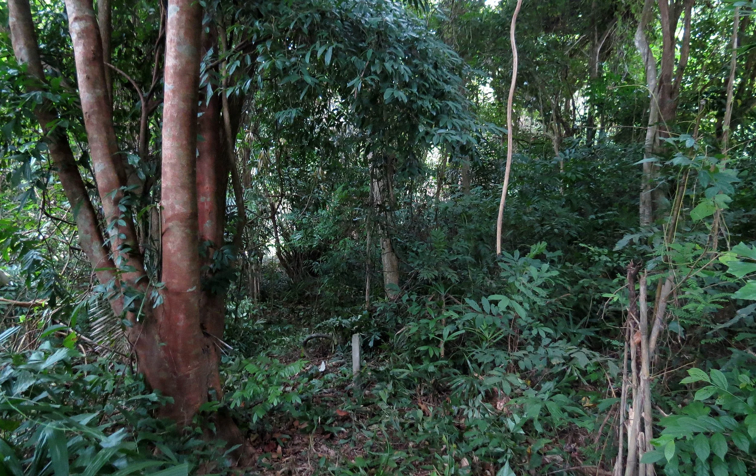 2014 Koh Lanta Build (142).JPG