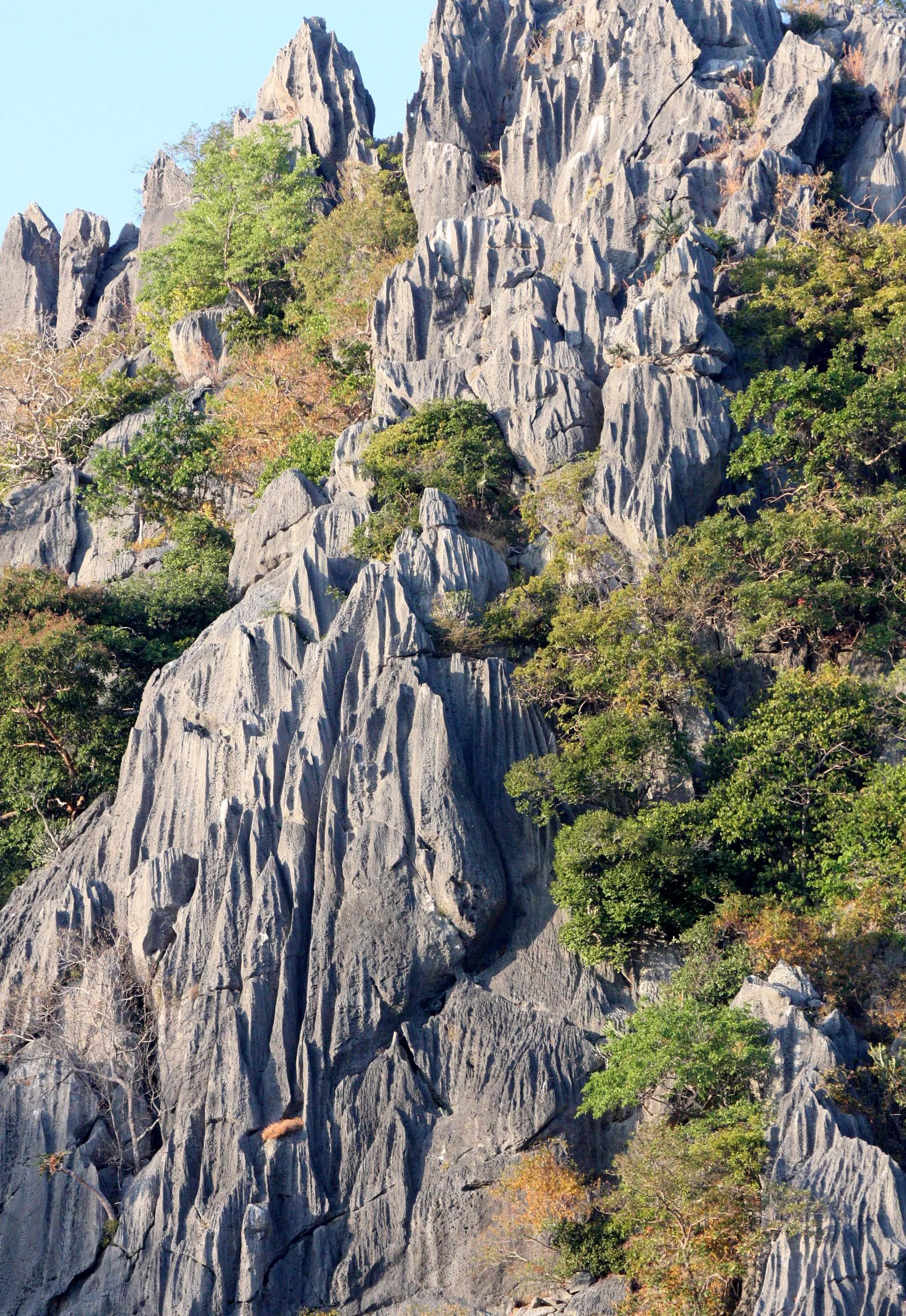 KHAO SAM ROI YOT THAILAND - 2009 (3).JPG