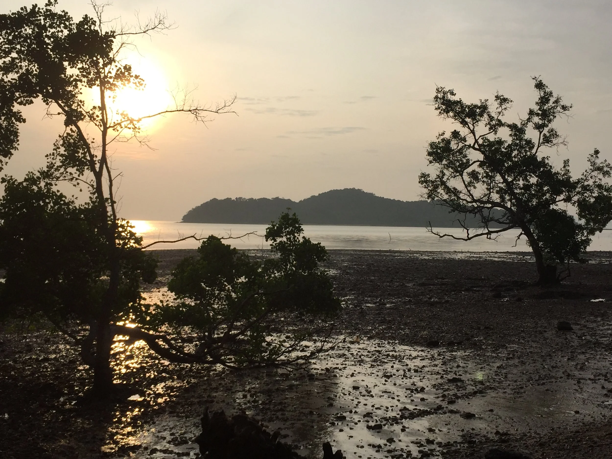 2015 Koh Lanta Garden & Nature (269).JPG