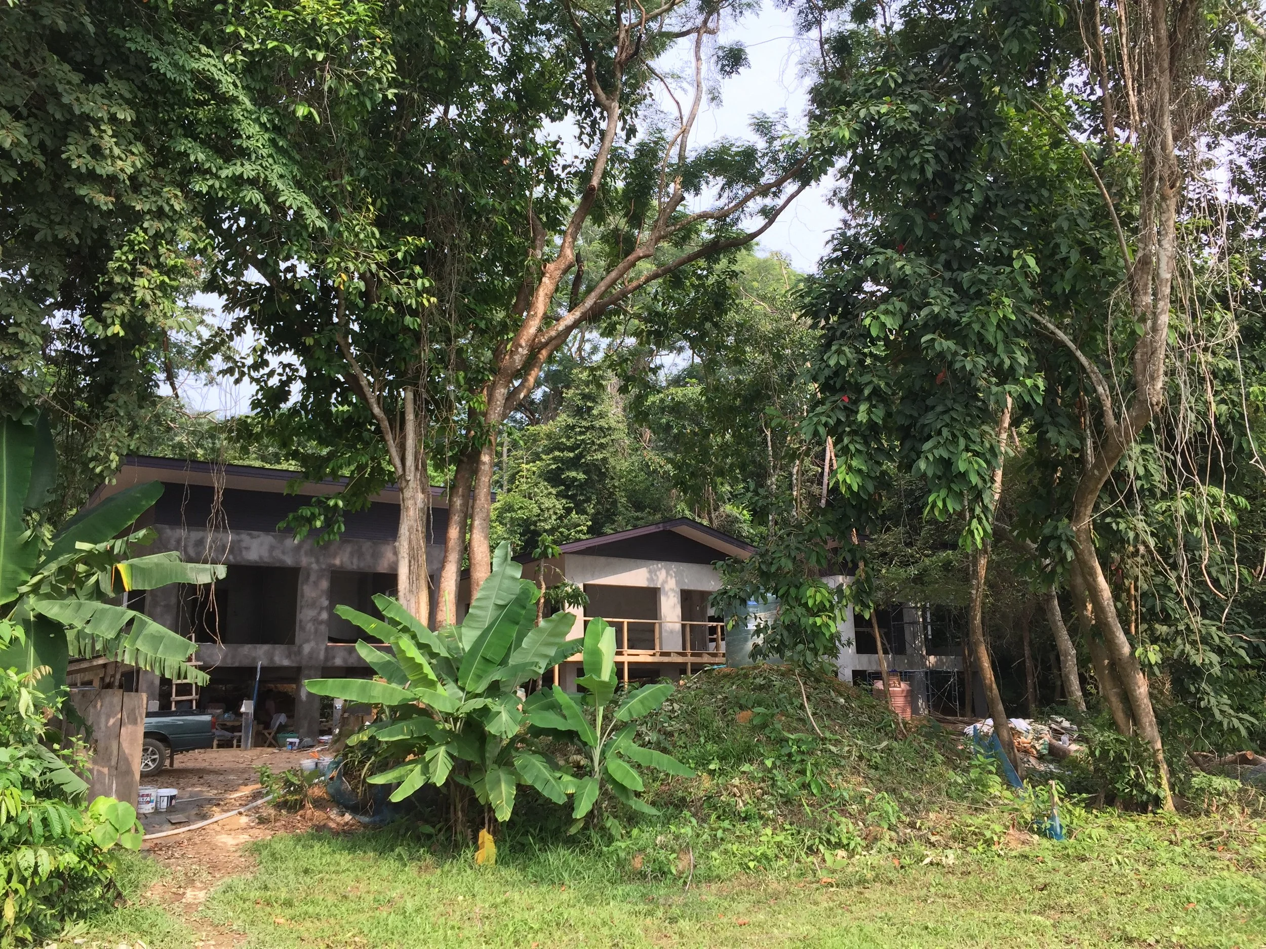 2015 Koh Lanta Garden & Nature (169).JPG
