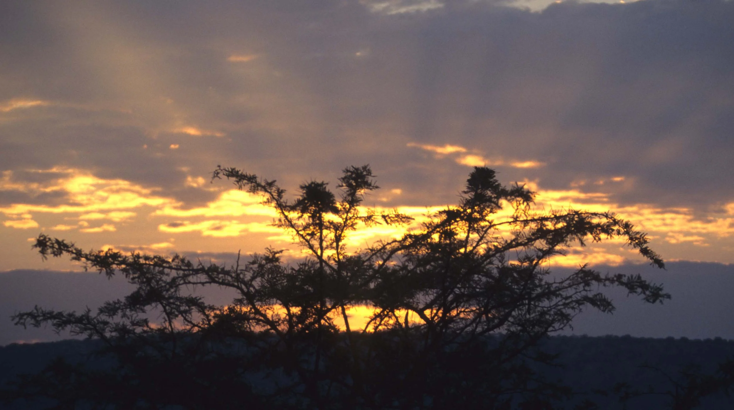 SERENGETI SUNSET 3.jpg