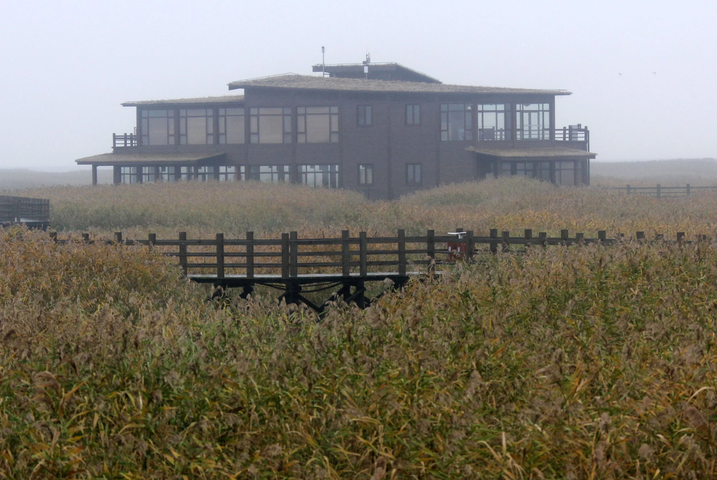 CHONGMING ISLAND DONGTAN WETLAND RESERVE CHINA - FIELD TRIP WITH IB AND APES 2012 11-16 (88).JPG