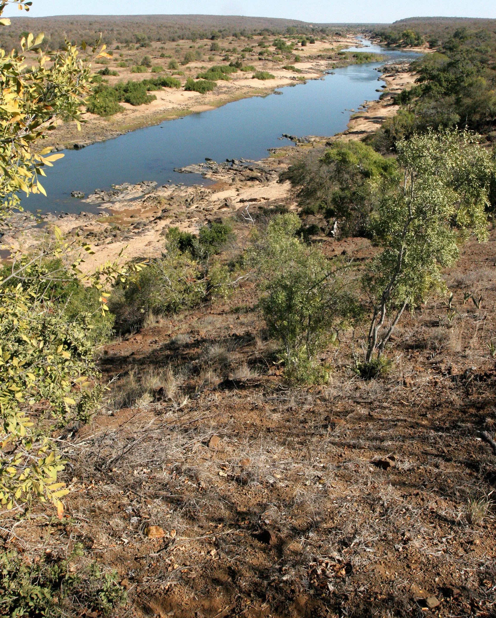 KRUGER NATIONAL PARK SOUTH AFRICA - BUSHVELD COMMUNITY (7).JPG