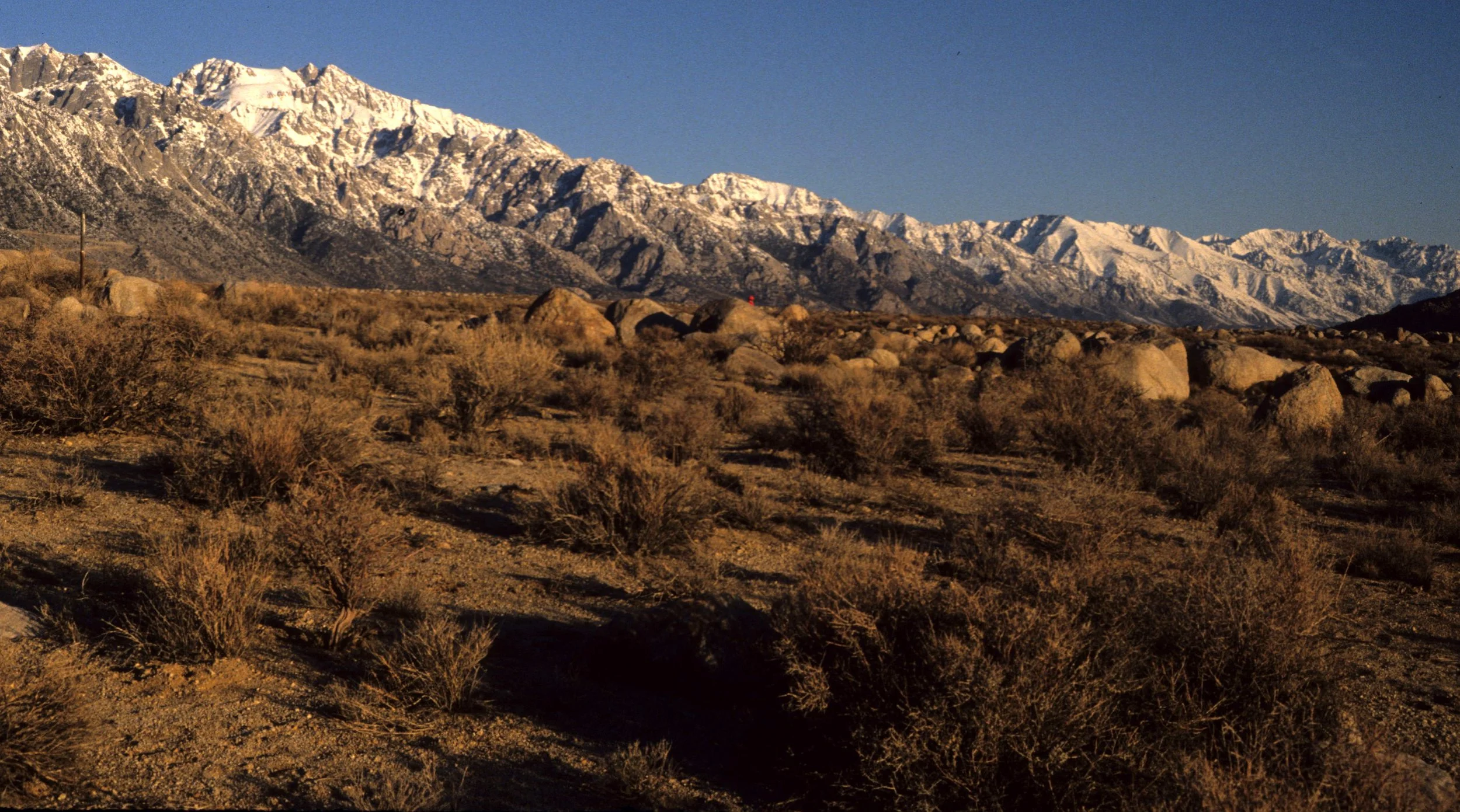 CALIFORNIA - SIERRA NEVADA - EAST SIDE - ALABAMA HILLS.jpg