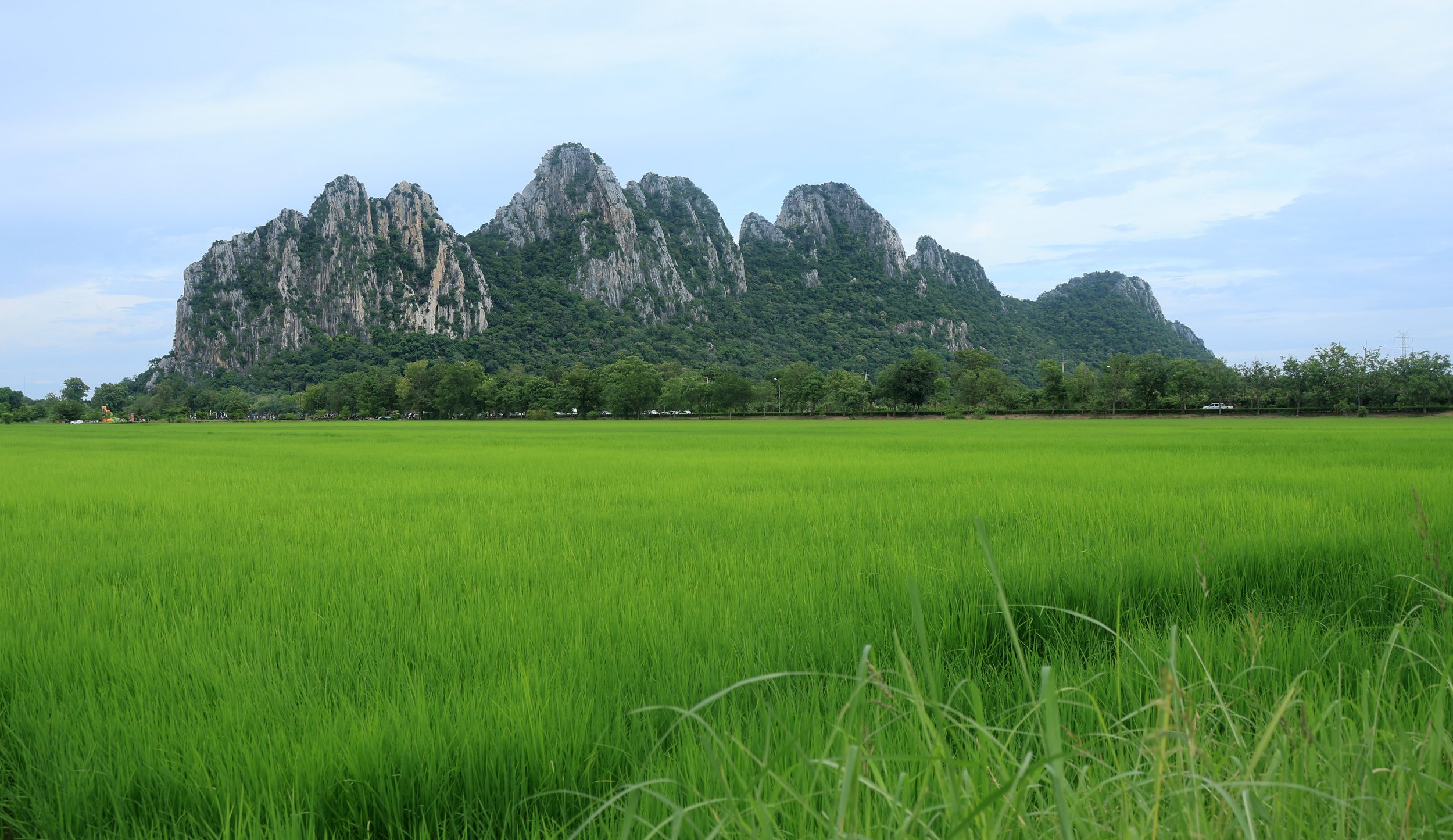 Khao Nor Khao Kaew Bat Viewing Nakhon Sawan (36).jpg