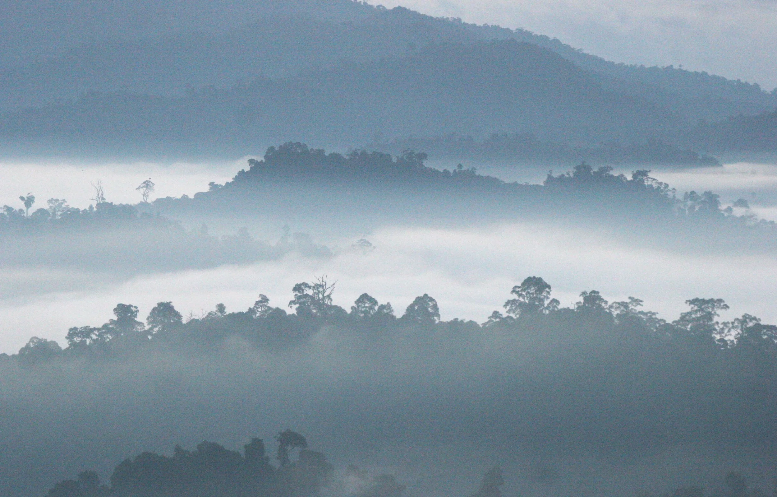 DANUM VALLEY BORNEO - SUNRISE OVER THE DANUM (29).JPG