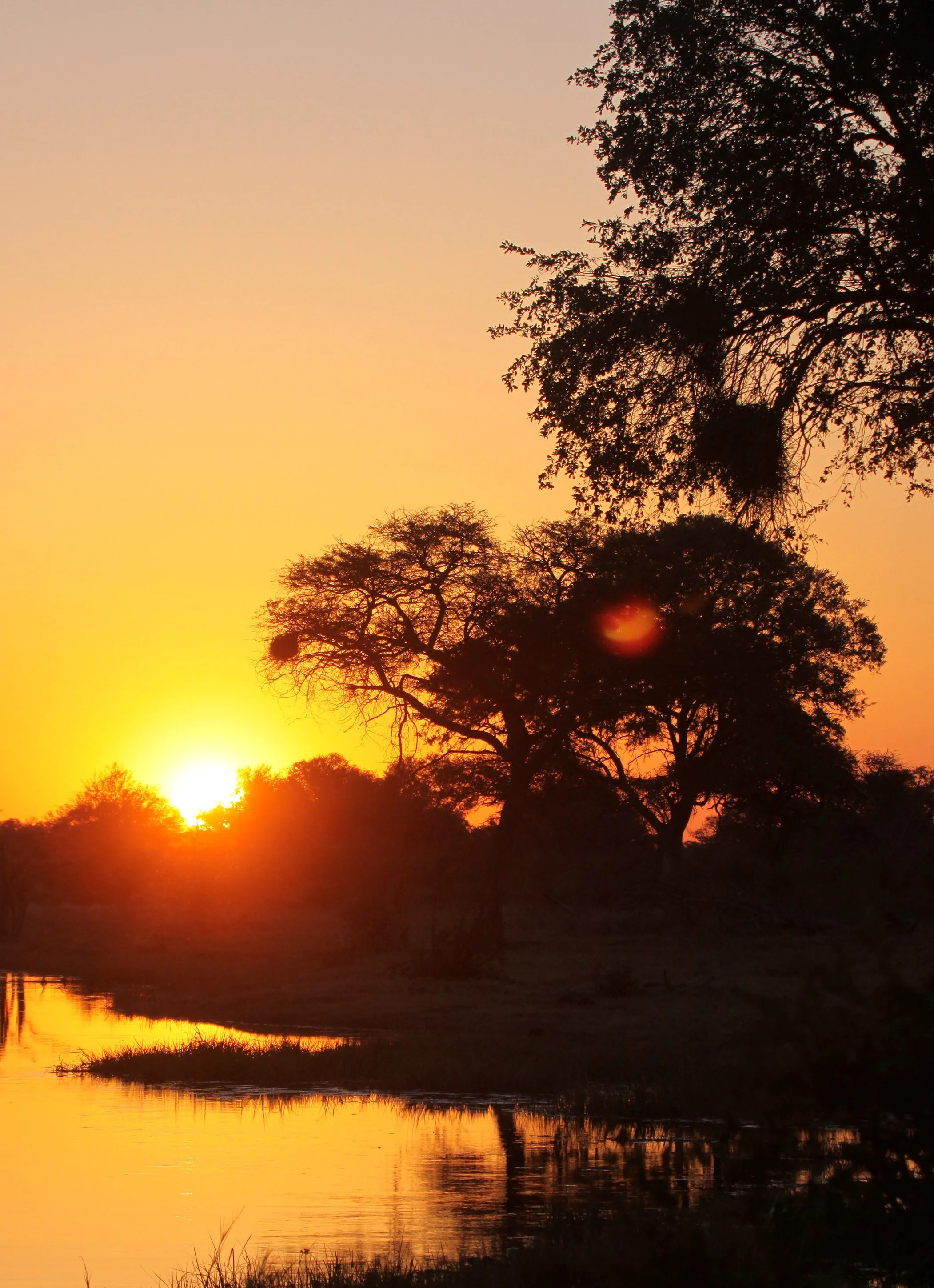 KHWAI CAMP - OKAVANGO - SUNSET OVER THE KHWAI RIVER (5).JPG