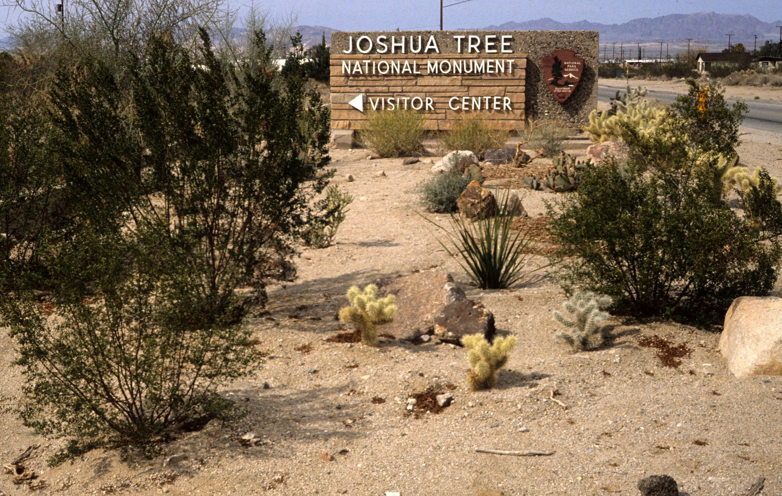 JOSHUA TREE - SIGN.jpg