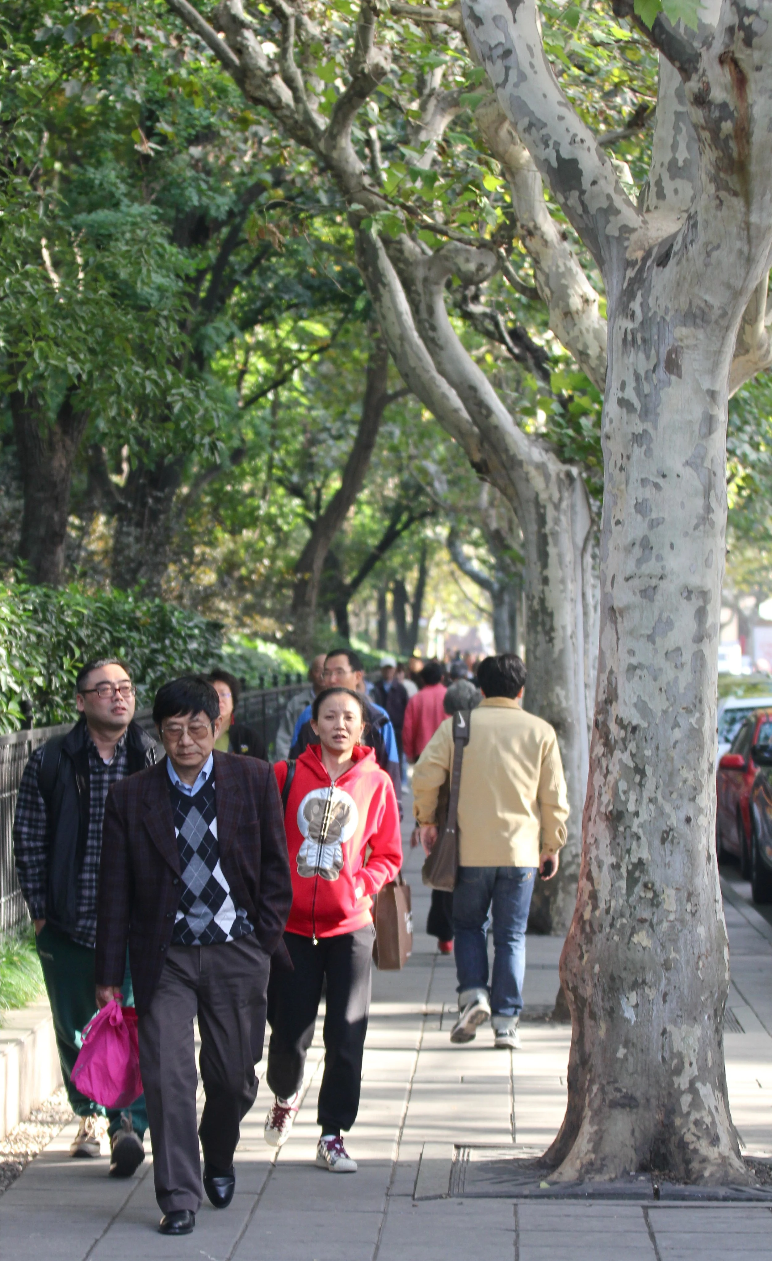 XINLE LU - SHANGHAI (49).jpg