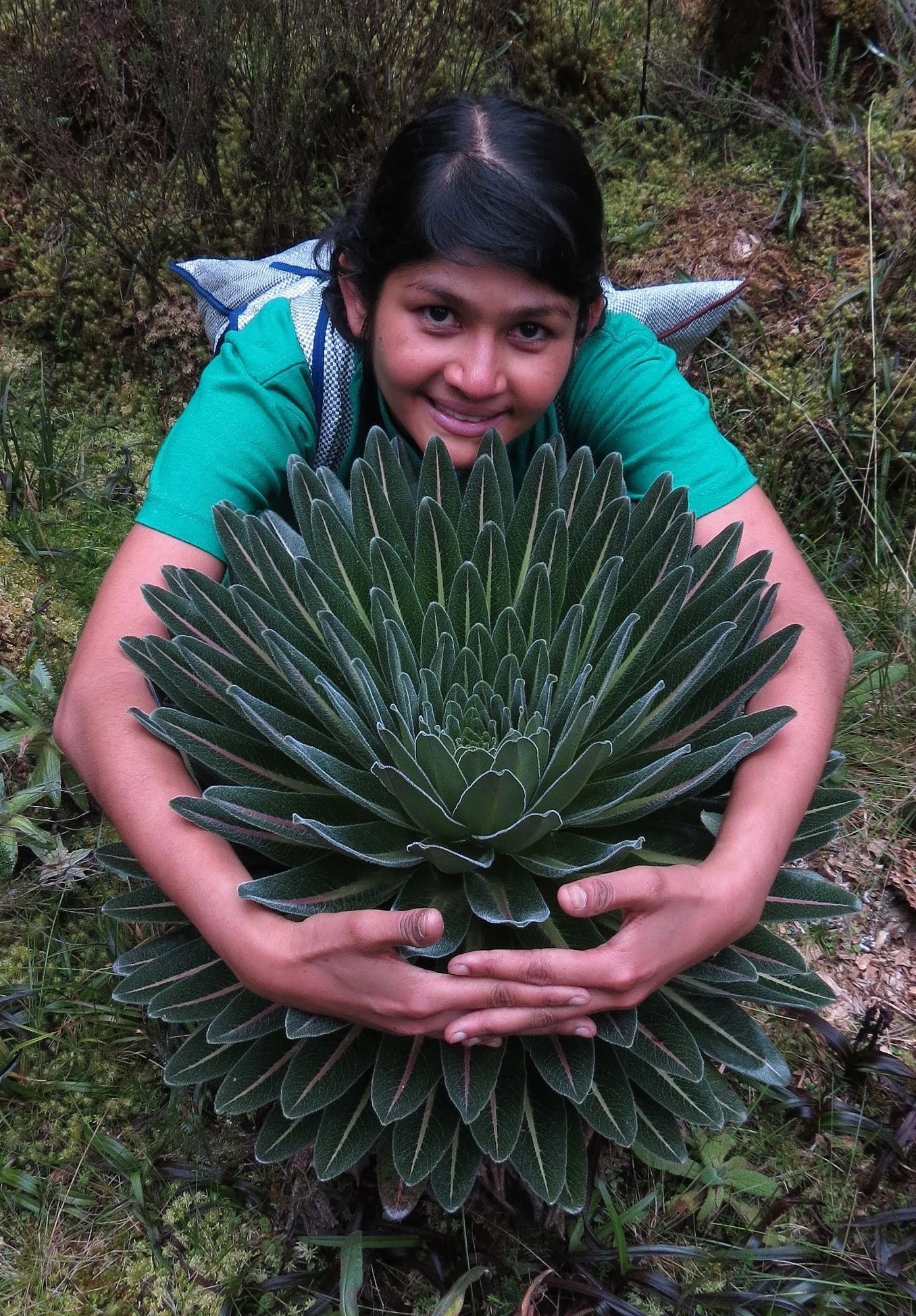 RWENZORI NATIONAL PARK UGANDA (180).JPG