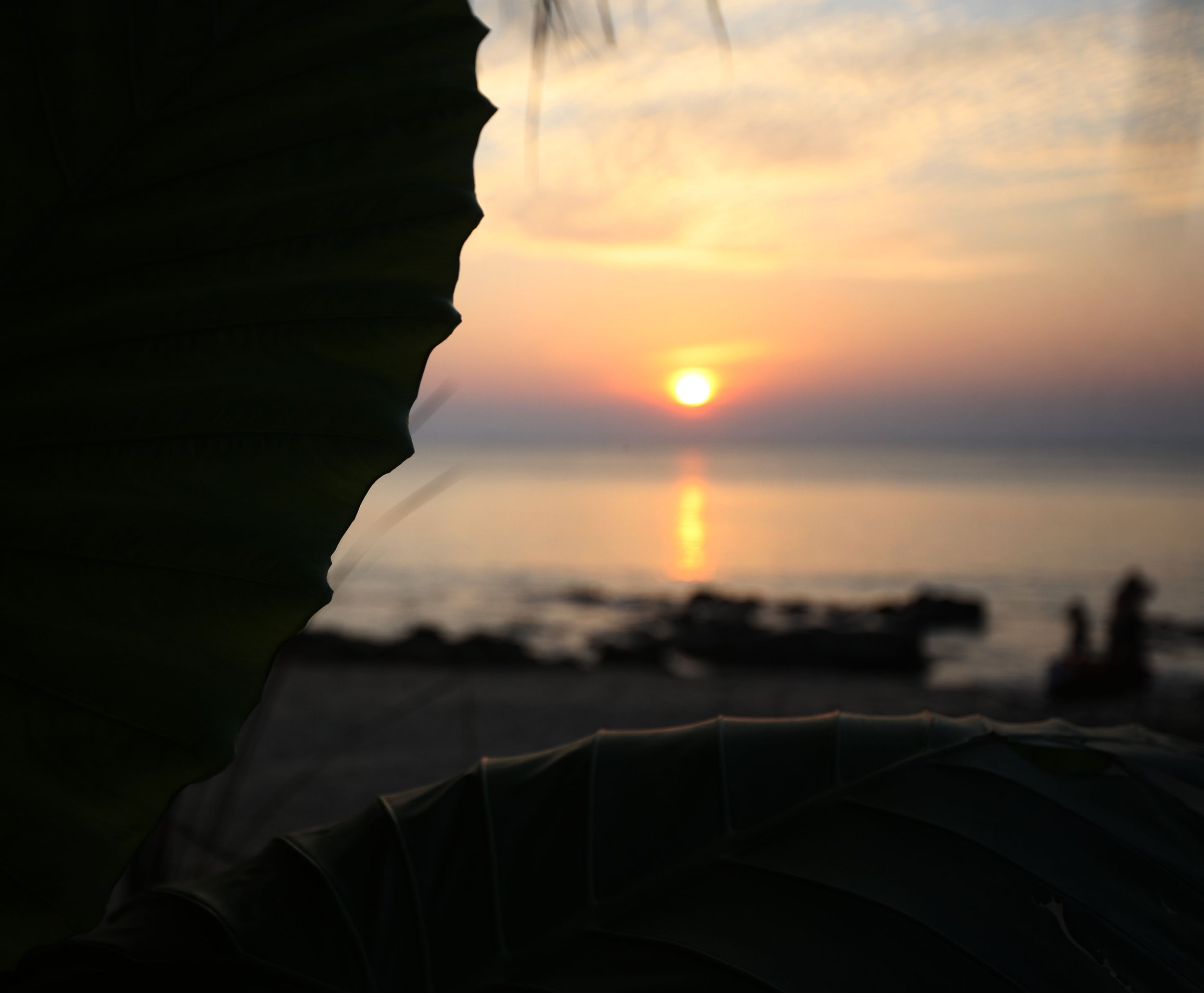 2015 Koh Lanta Build and Fun (117).JPG