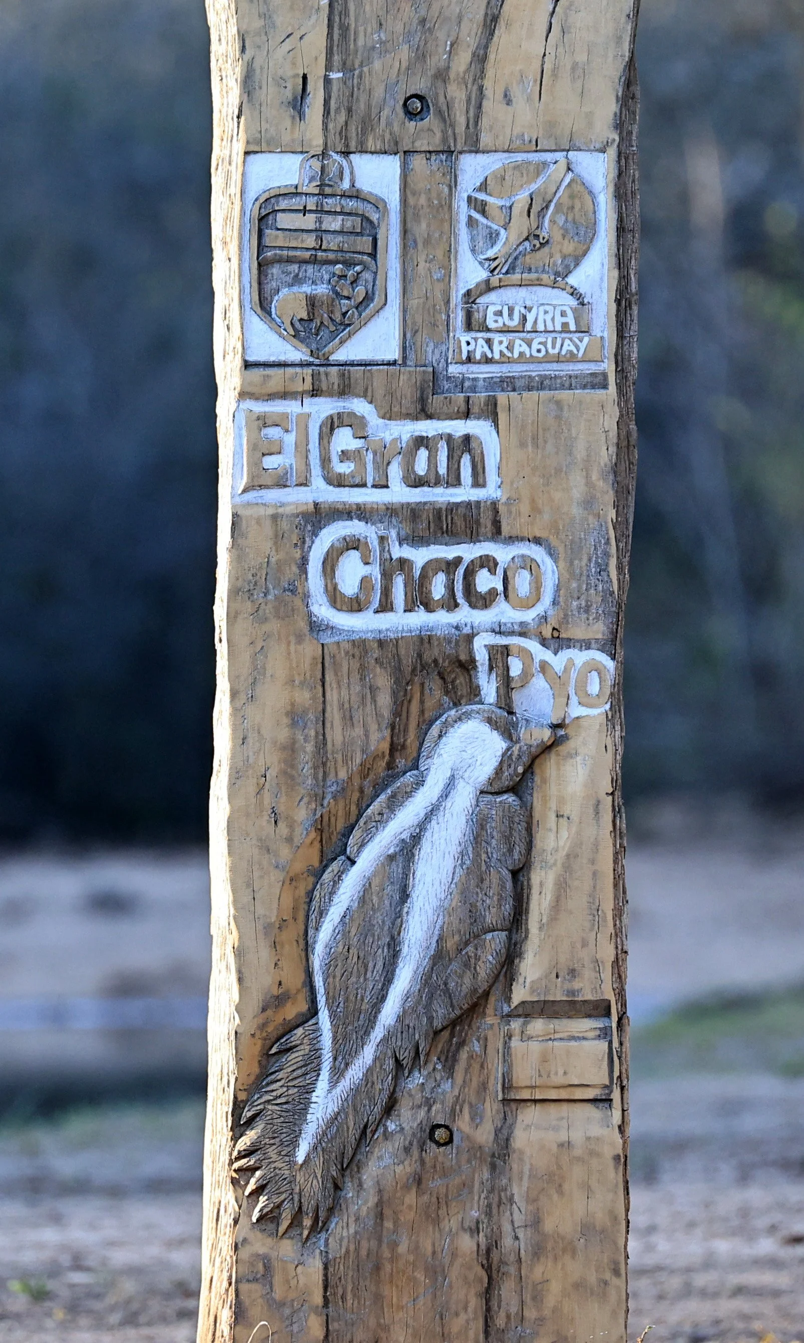 Reserva Natural Canada el Carmen, Paraguay (226).jpg