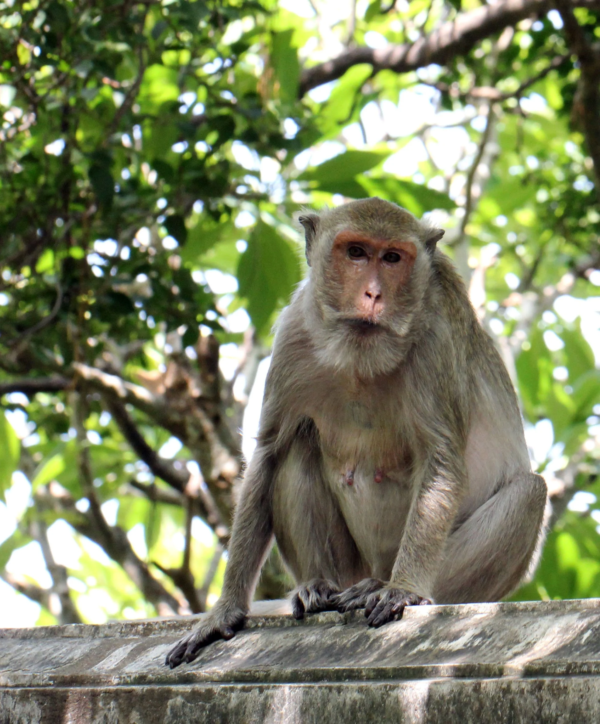 2013 Cha'am and Petchaburi with Family & Friends (154).JPG