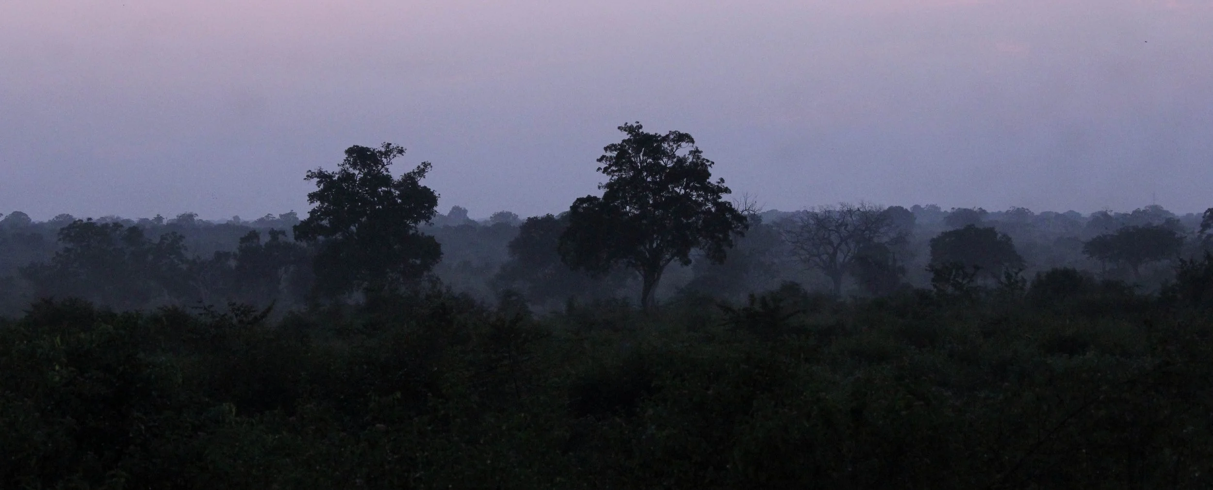 UDAWALAWA NATIONAL PARK SRI LANKA (2).JPG