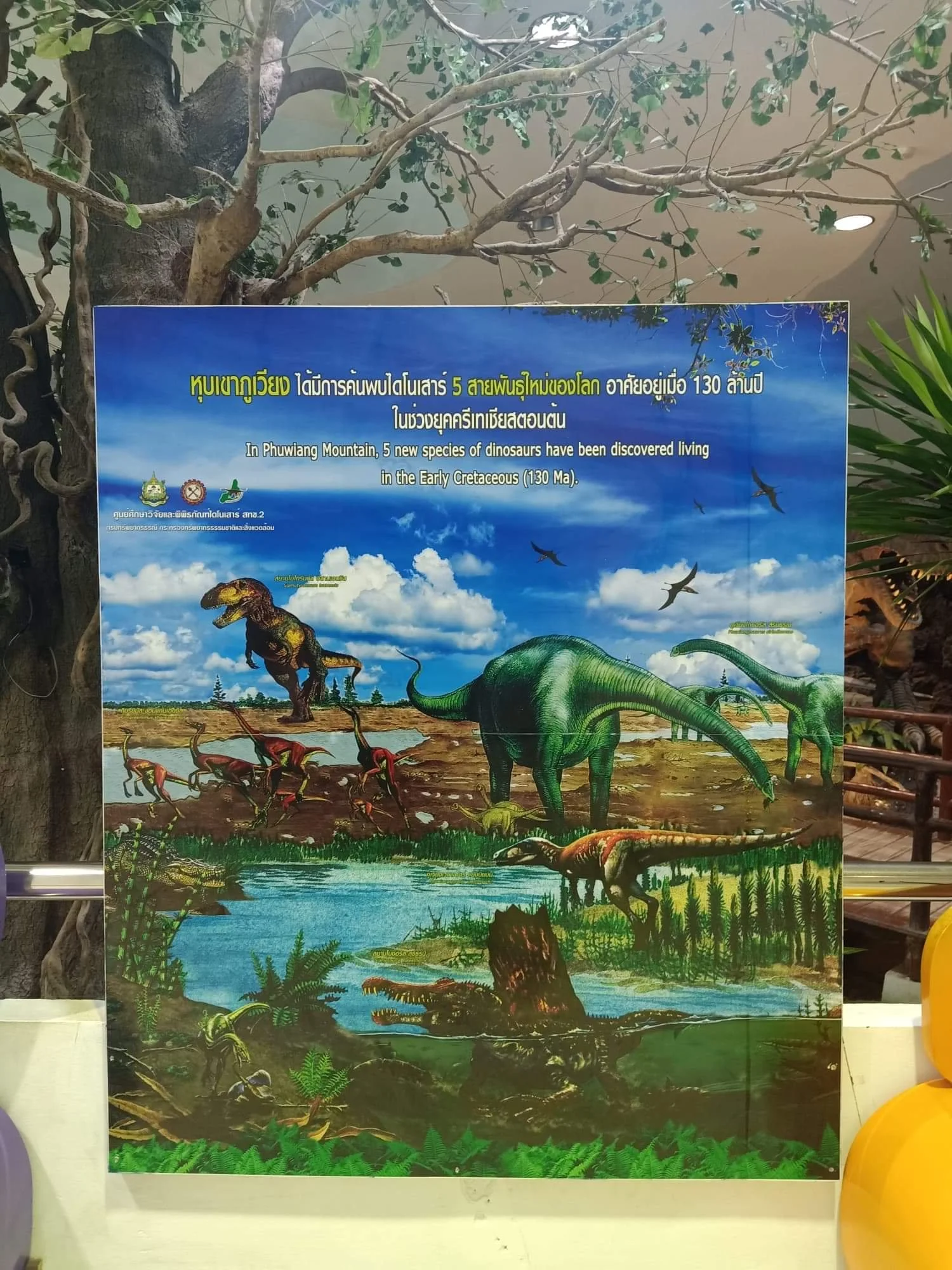 2019-2020 Misc Pictures from Other People - Family, Kanchanaburi, Lanta, Liana and more (118).jpeg