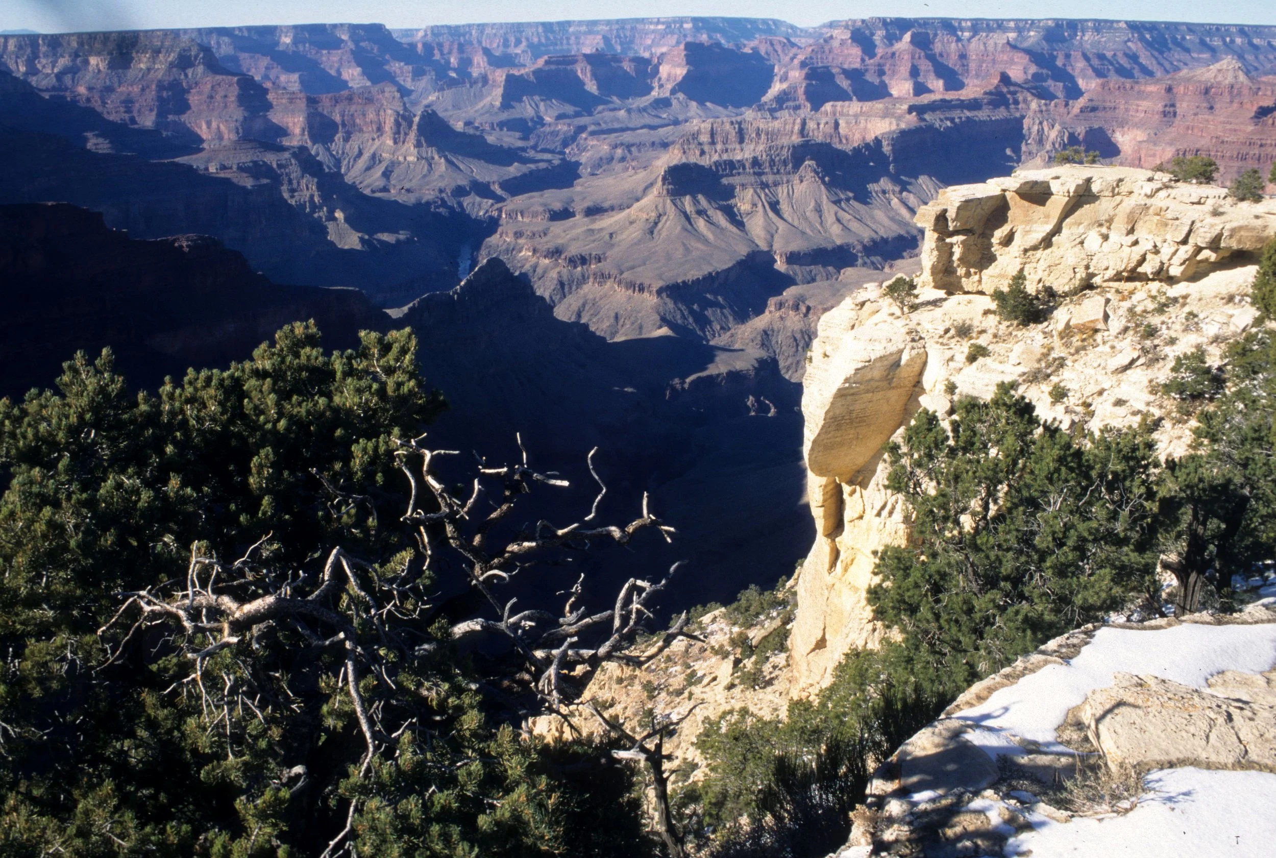 ARIZONA - GRAND CANYON NATIONAL PK (31).jpg