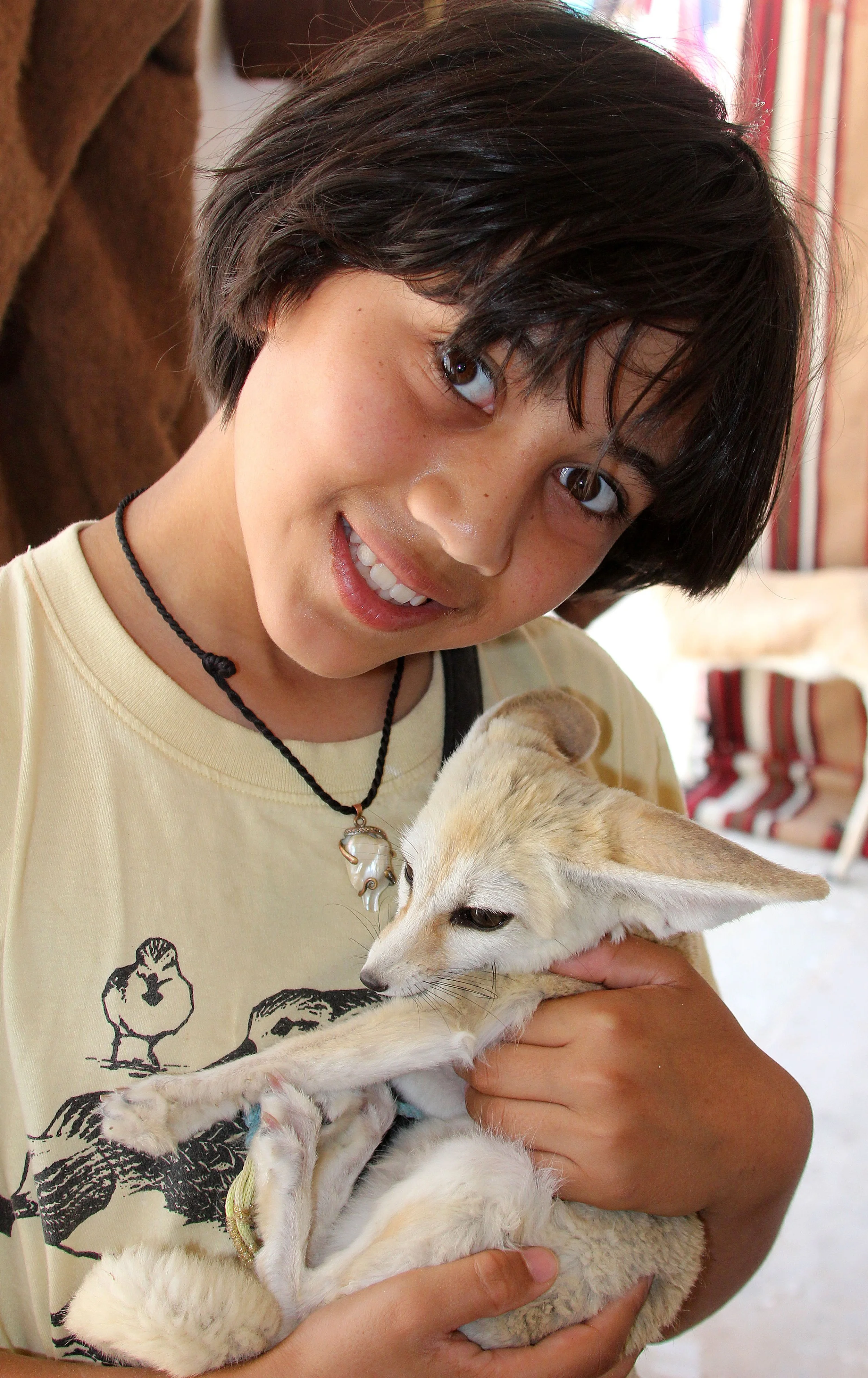 FOX - Canis zerda - FENNIC FOX - DOUZ MARKET TUNISIA (19).JPG