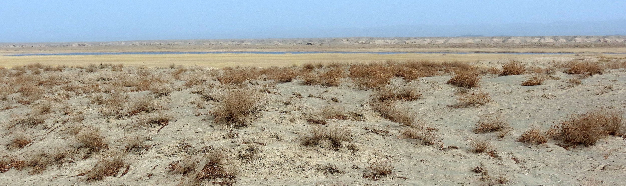GANSU DUNHUANG XIFU NATURE RESERVE - CHINA (25).JPG